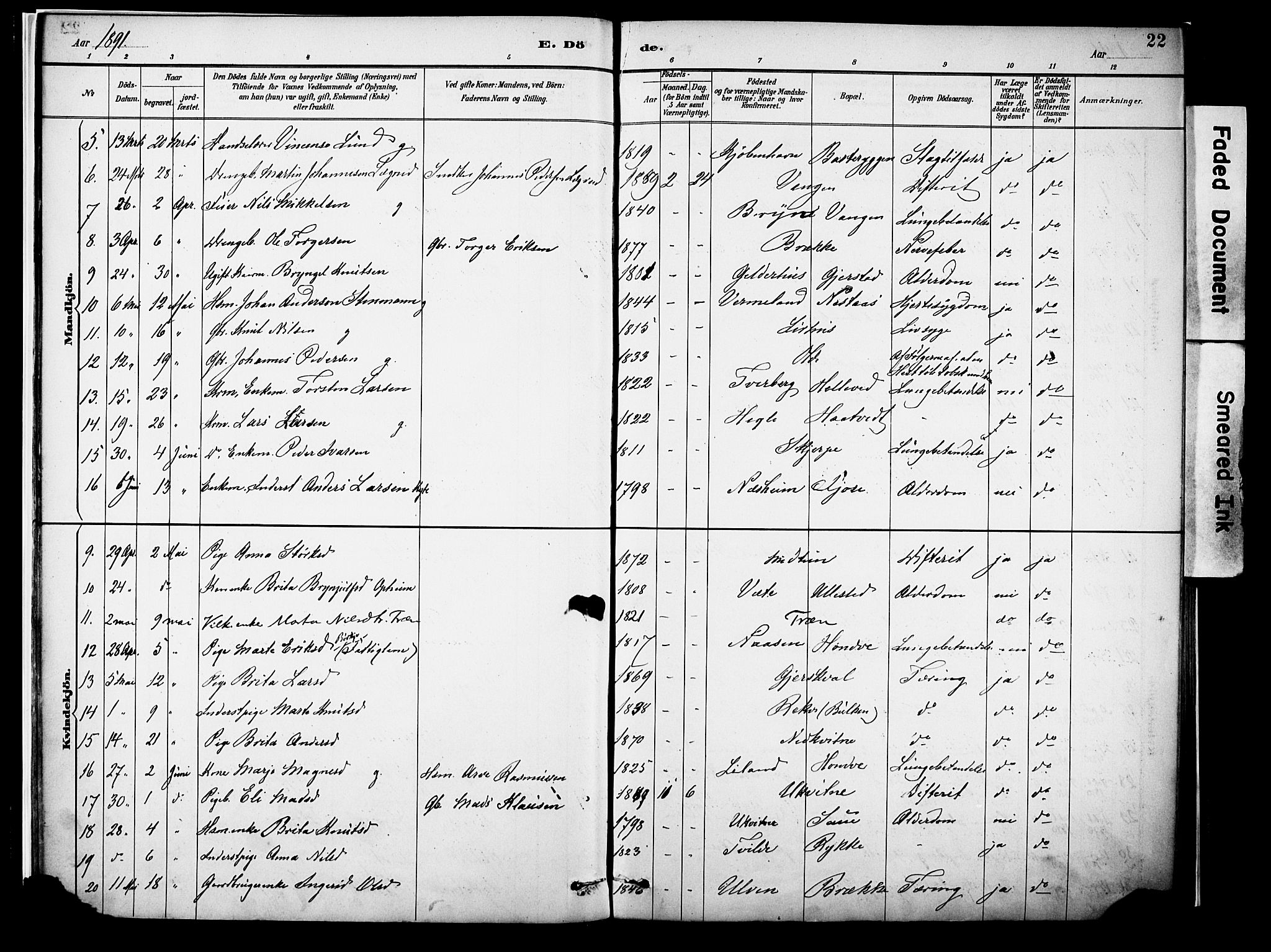 Voss sokneprestembete, AV/SAB-A-79001/H/Haa: Parish register (official) no. A 22, 1887-1909, p. 22