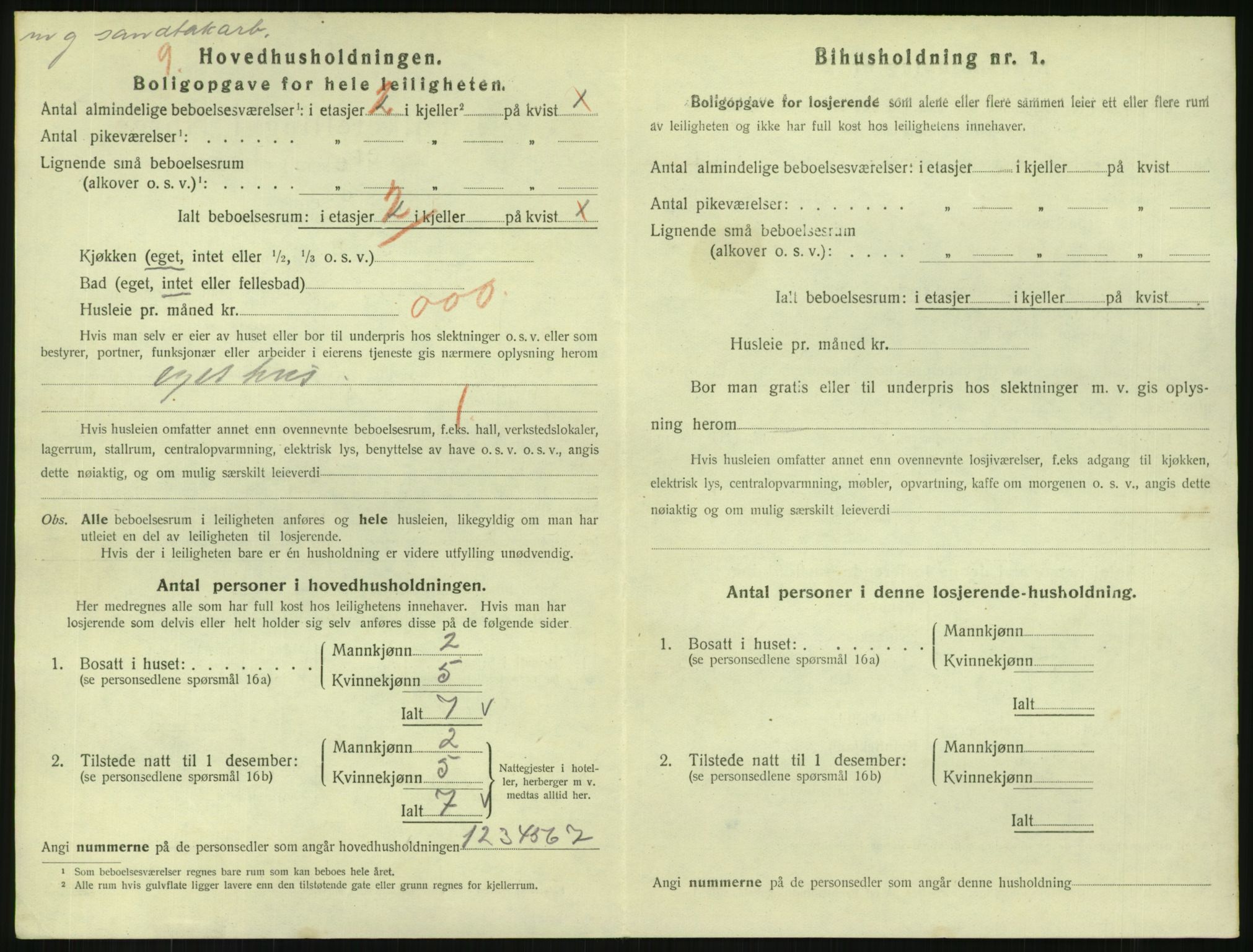 SAKO, 1920 census for Svelvik, 1920, p. 1124