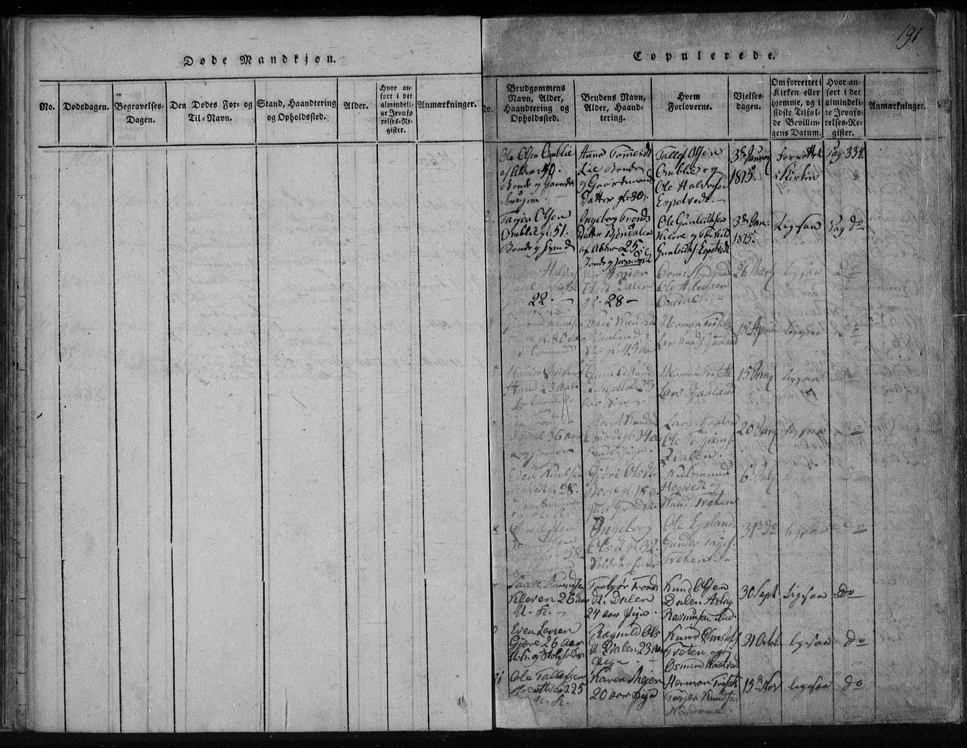 Lårdal kirkebøker, SAKO/A-284/F/Fa/L0005: Parish register (official) no. I 5, 1815-1860, p. 191