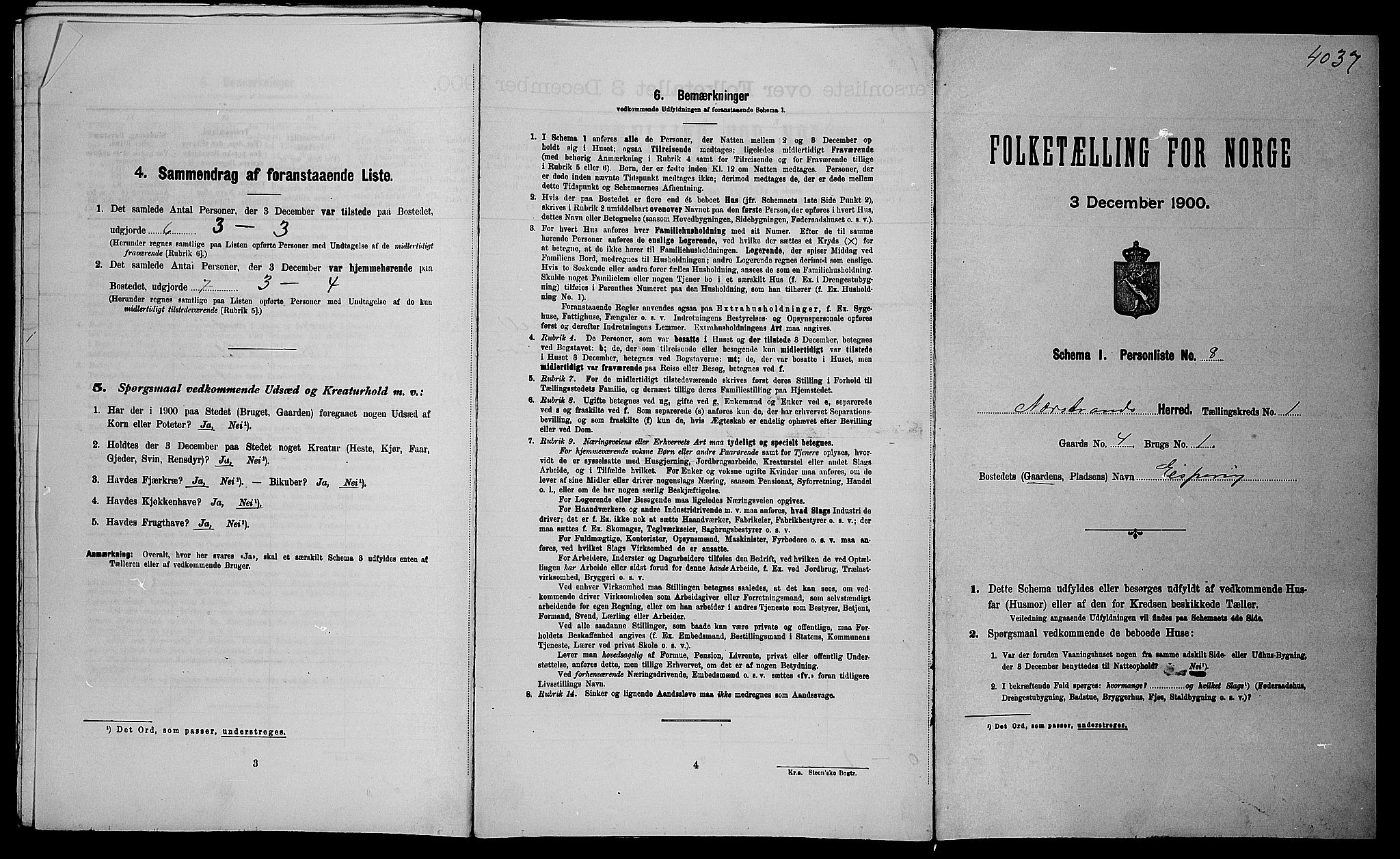 SAST, 1900 census for Nedstrand, 1900, p. 81