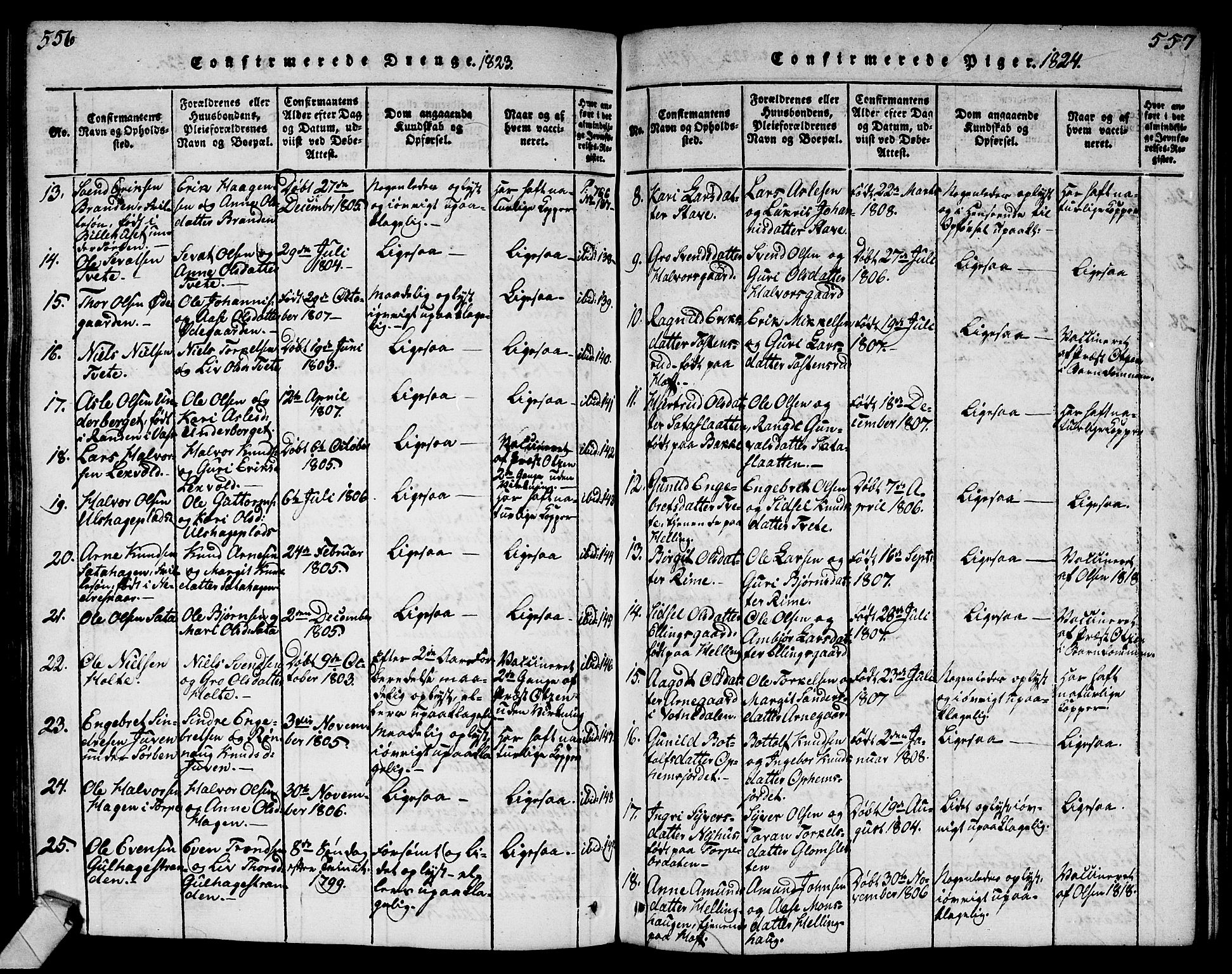 Ål kirkebøker, AV/SAKO-A-249/G/Ga/L0001: Parish register (copy) no. 1, 1815-1829, p. 556-557