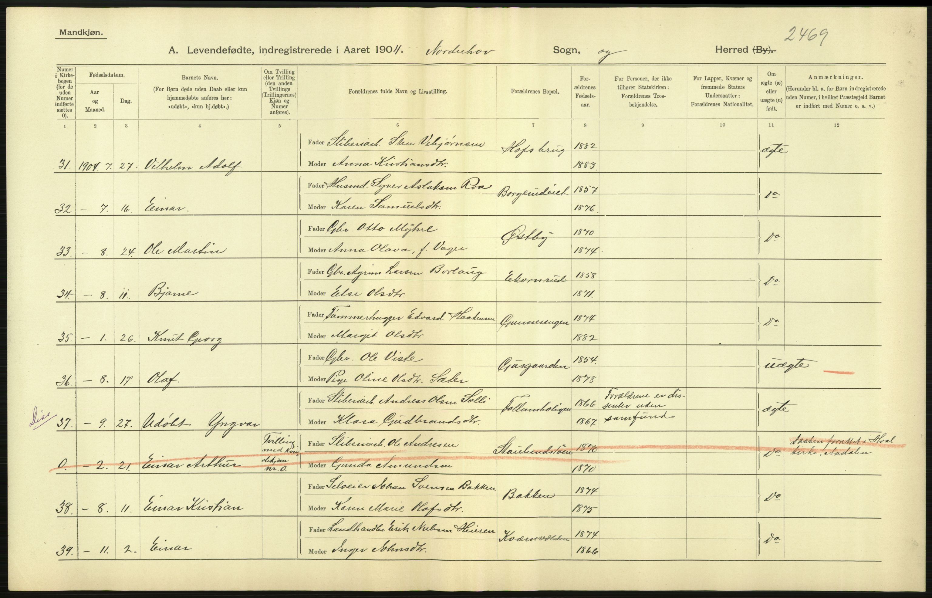 Statistisk sentralbyrå, Sosiodemografiske emner, Befolkning, AV/RA-S-2228/D/Df/Dfa/Dfab/L0007: Buskerud amt: Fødte, gifte, døde, 1904, p. 13