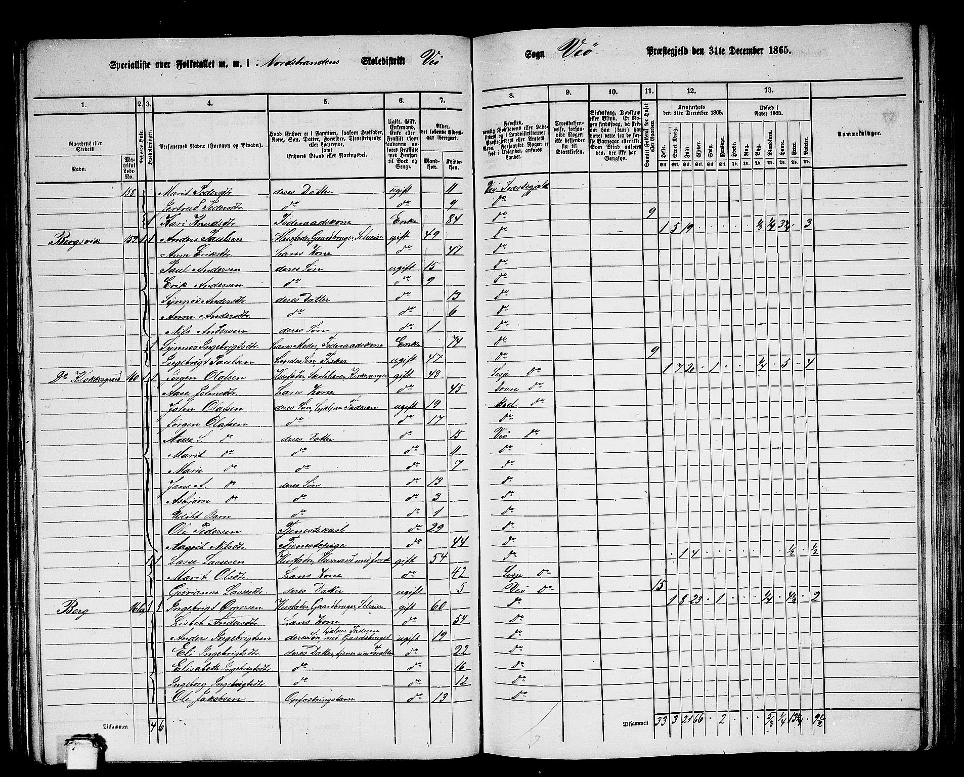 RA, 1865 census for Veøy, 1865, p. 13