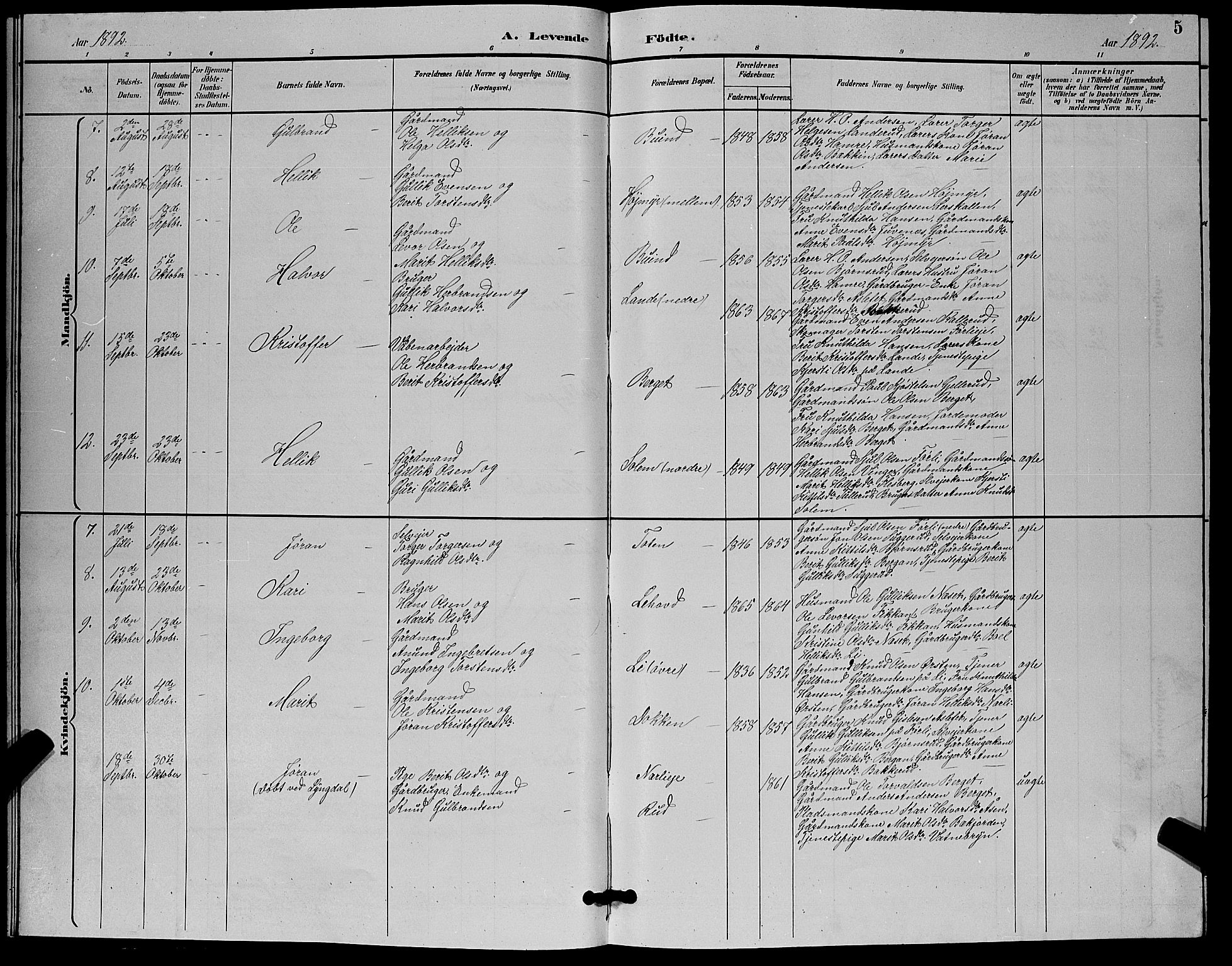 Flesberg kirkebøker, AV/SAKO-A-18/G/Ga/L0004: Parish register (copy) no. I 4 /1, 1890-1898, p. 5