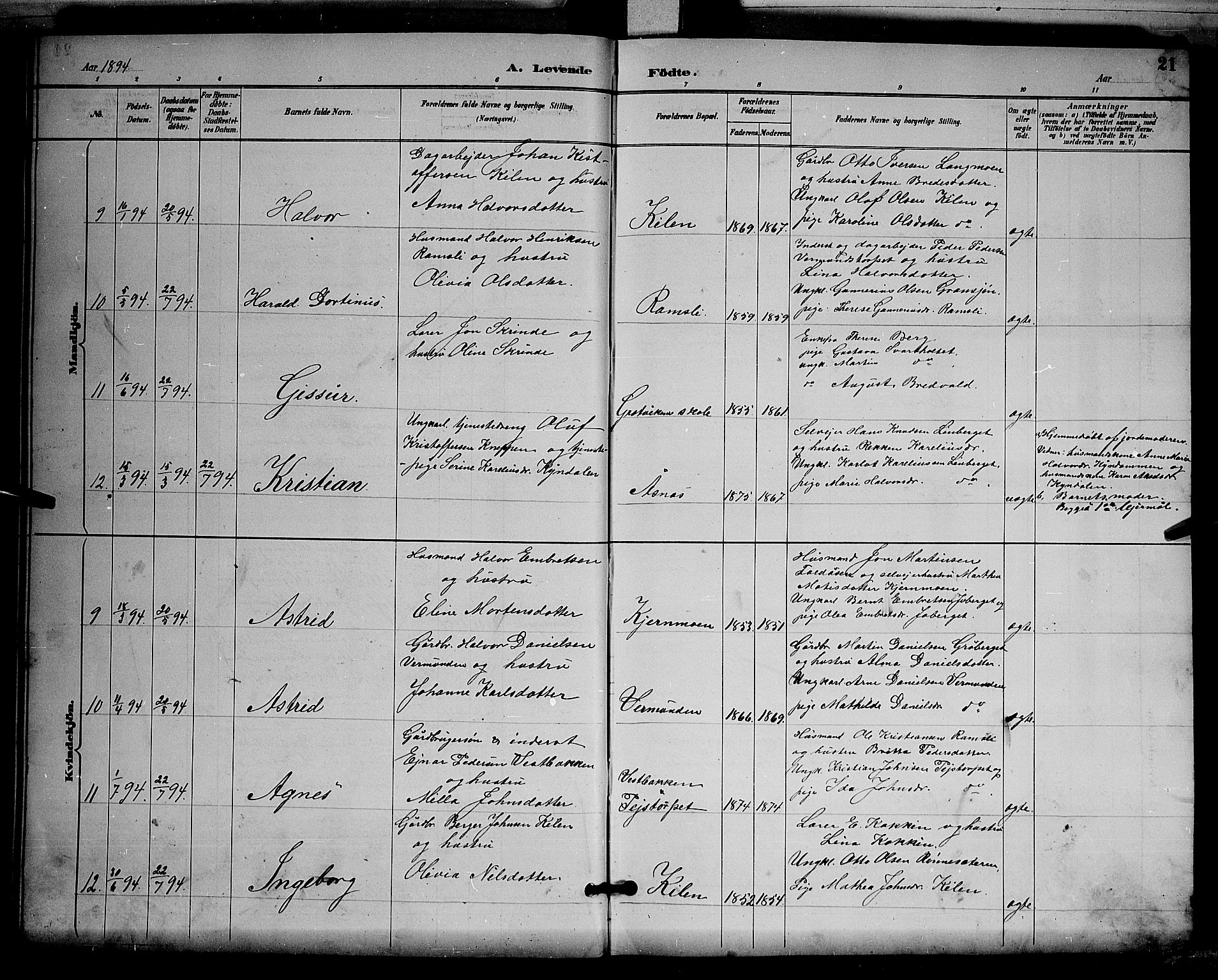 Åsnes prestekontor, AV/SAH-PREST-042/H/Ha/Hab/L0003: Parish register (copy) no. 3, 1890-1902, p. 21