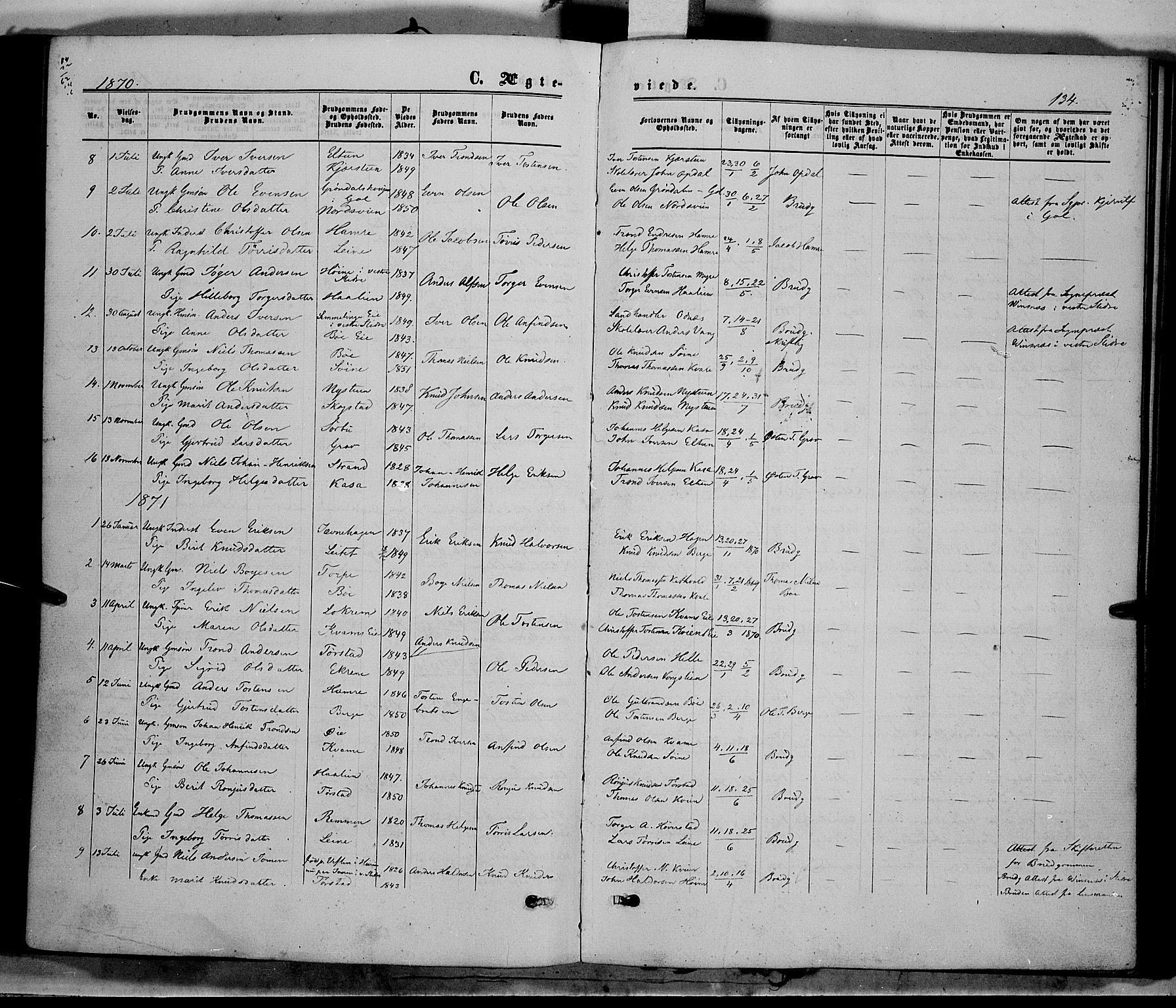 Vang prestekontor, Valdres, SAH/PREST-140/H/Ha/L0007: Parish register (official) no. 7, 1865-1881, p. 134