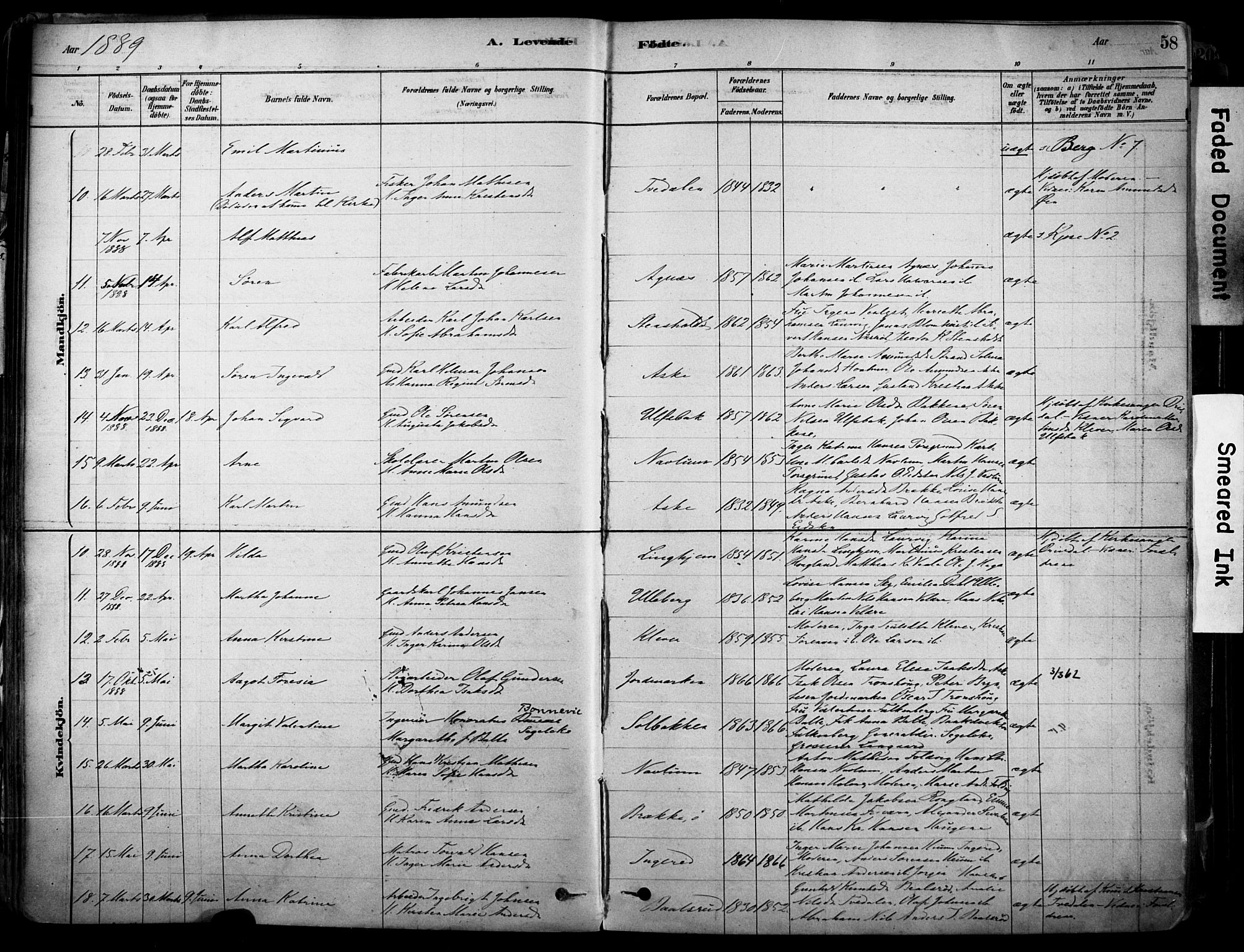 Brunlanes kirkebøker, AV/SAKO-A-342/F/Fc/L0001: Parish register (official) no. III 1, 1878-1899, p. 58