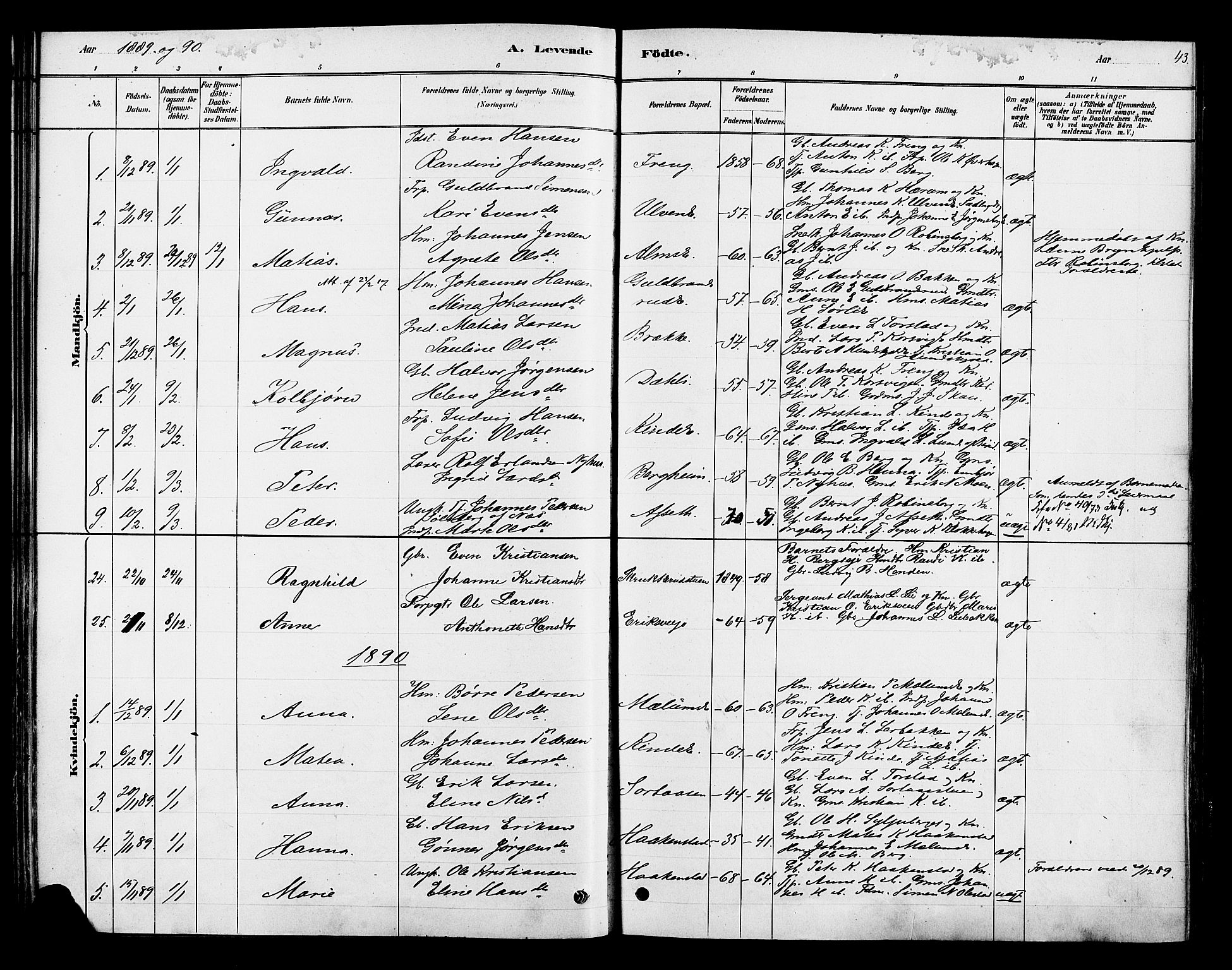 Ringsaker prestekontor, SAH/PREST-014/K/Ka/L0013: Parish register (official) no. 13, 1879-1890, p. 43