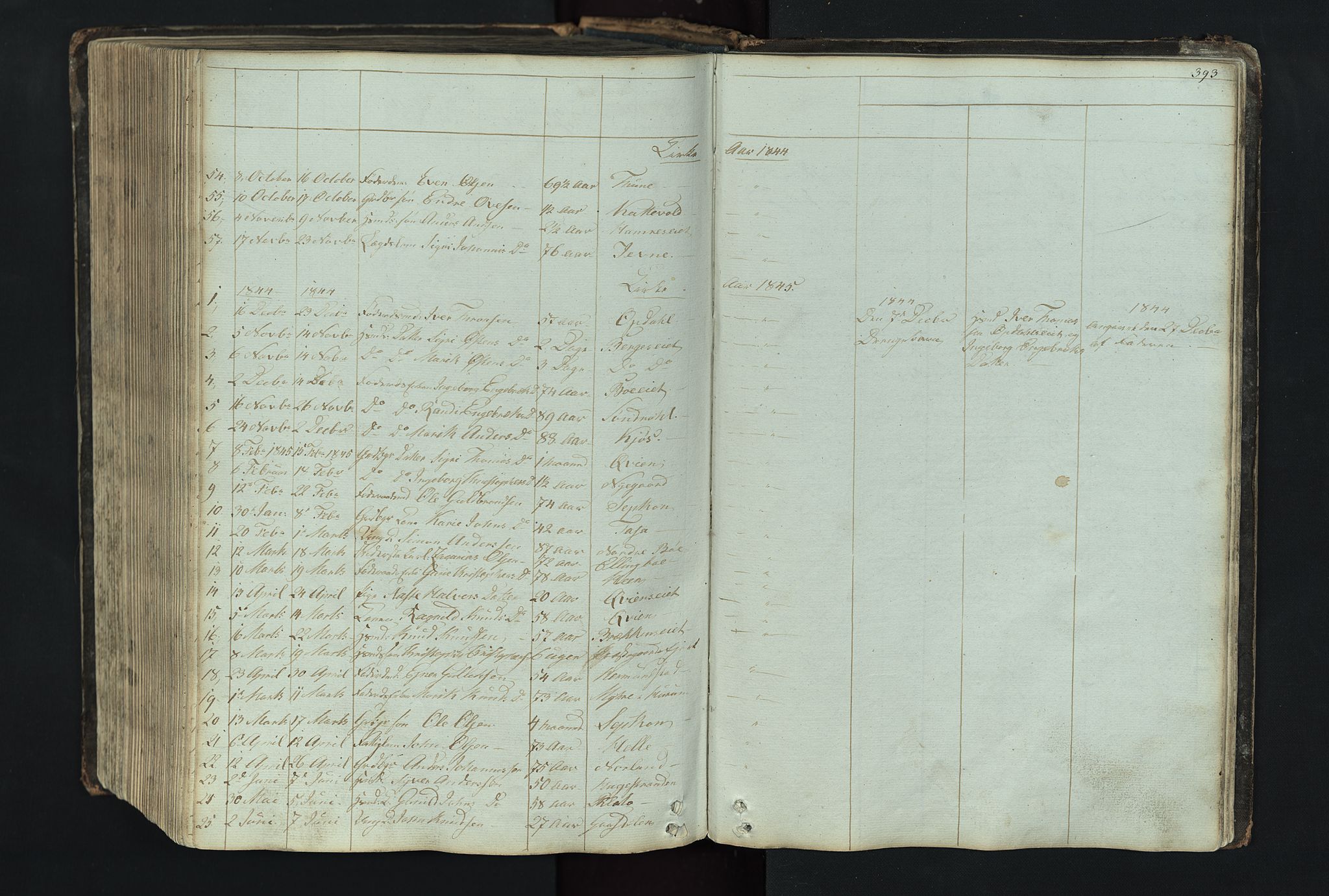 Vang prestekontor, Valdres, SAH/PREST-140/H/Hb/L0004: Parish register (copy) no. 4, 1835-1892, p. 393
