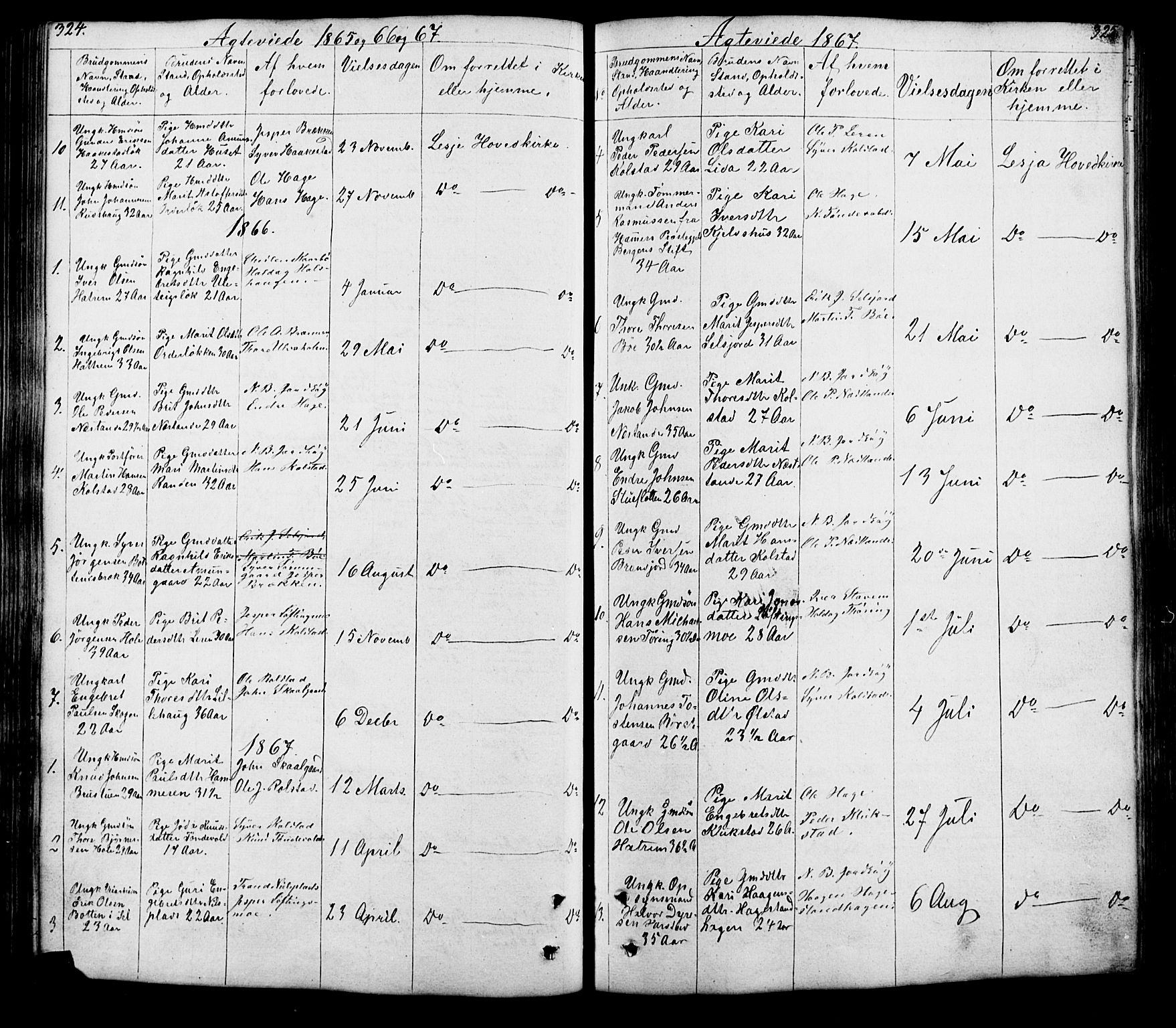 Lesja prestekontor, SAH/PREST-068/H/Ha/Hab/L0005: Parish register (copy) no. 5, 1850-1894, p. 324-325