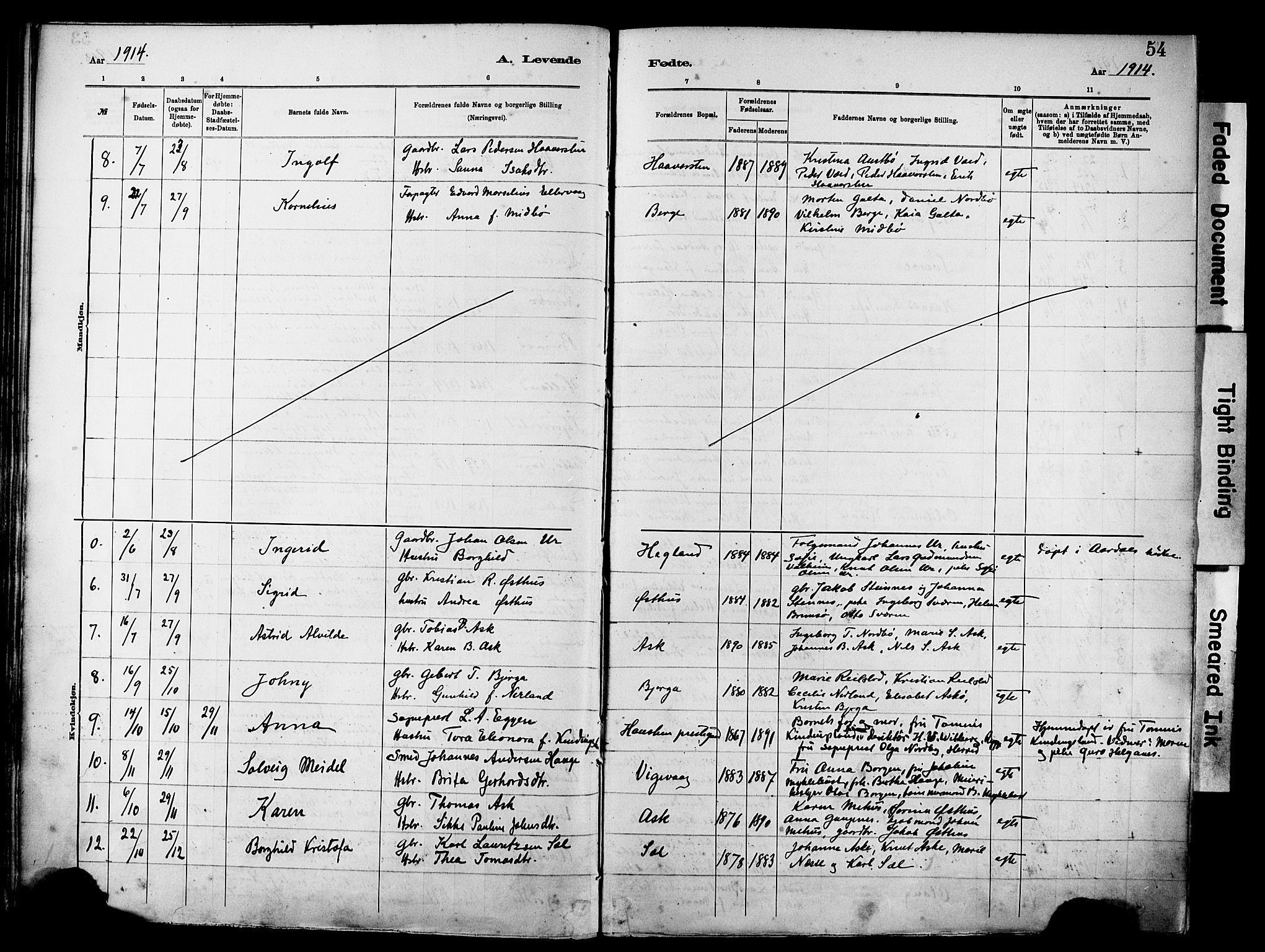 Rennesøy sokneprestkontor, AV/SAST-A -101827/H/Ha/Haa/L0012: Parish register (official) no. A 13, 1885-1917, p. 54