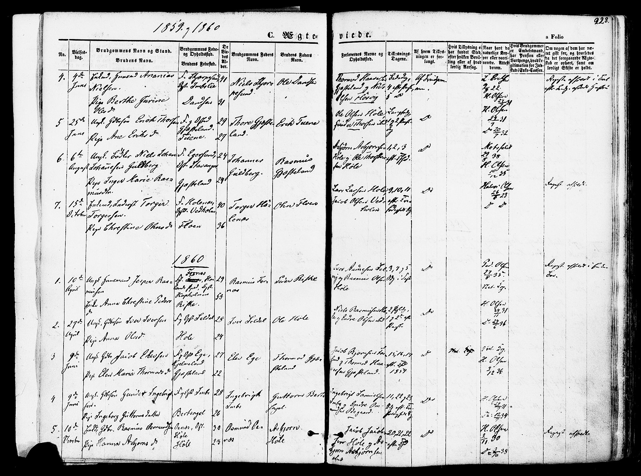Høgsfjord sokneprestkontor, SAST/A-101624/H/Ha/Haa/L0002: Parish register (official) no. A 2, 1855-1885, p. 223
