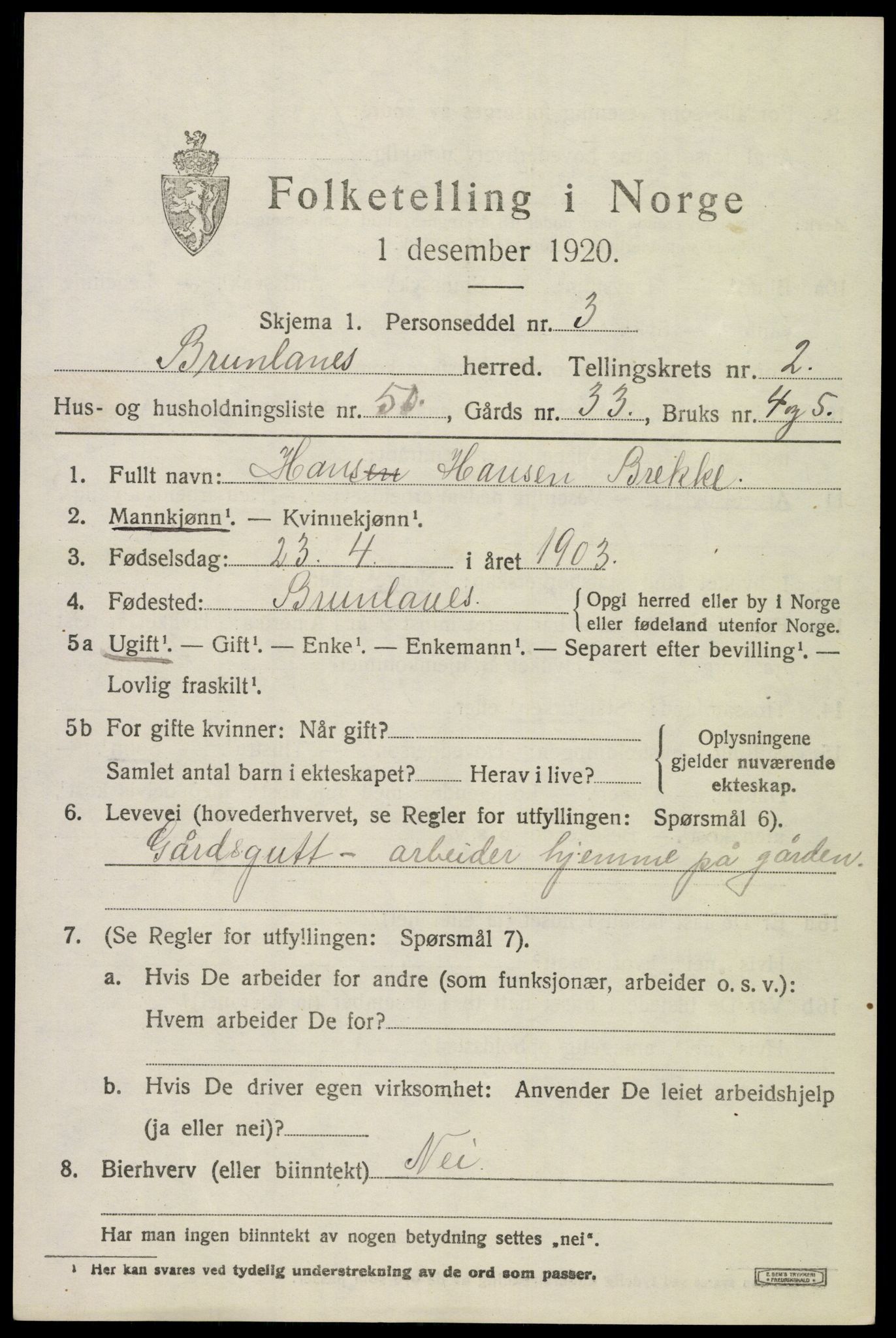 SAKO, 1920 census for Brunlanes, 1920, p. 3839