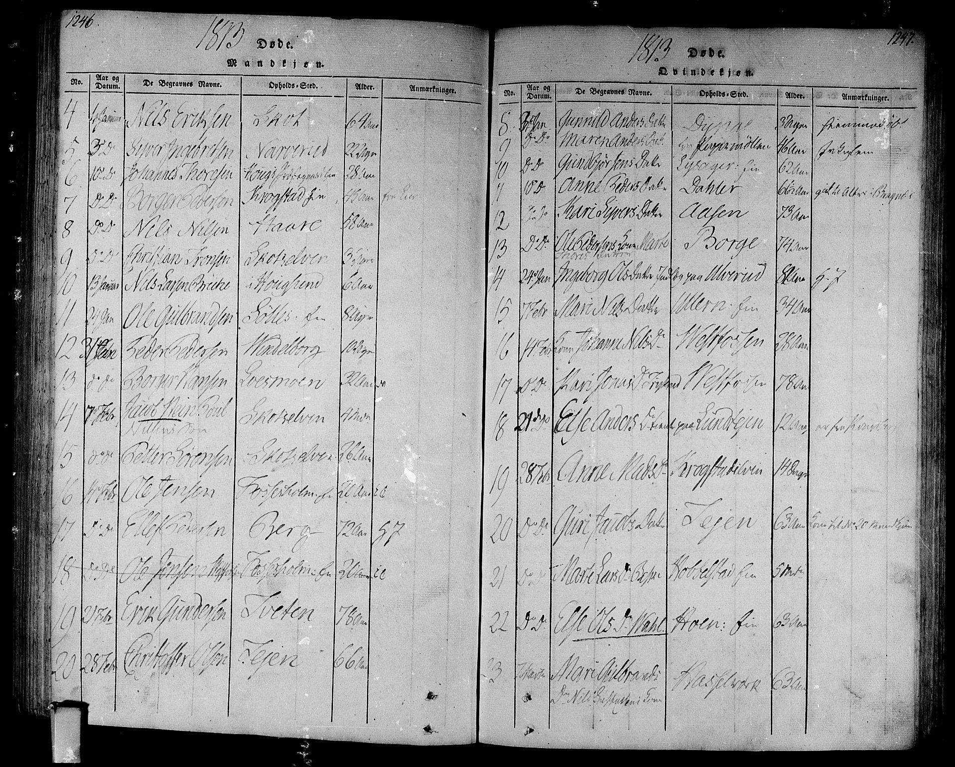 Eiker kirkebøker, AV/SAKO-A-4/F/Fa/L0010: Parish register (official) no. I 10, 1806-1815, p. 1246-1247