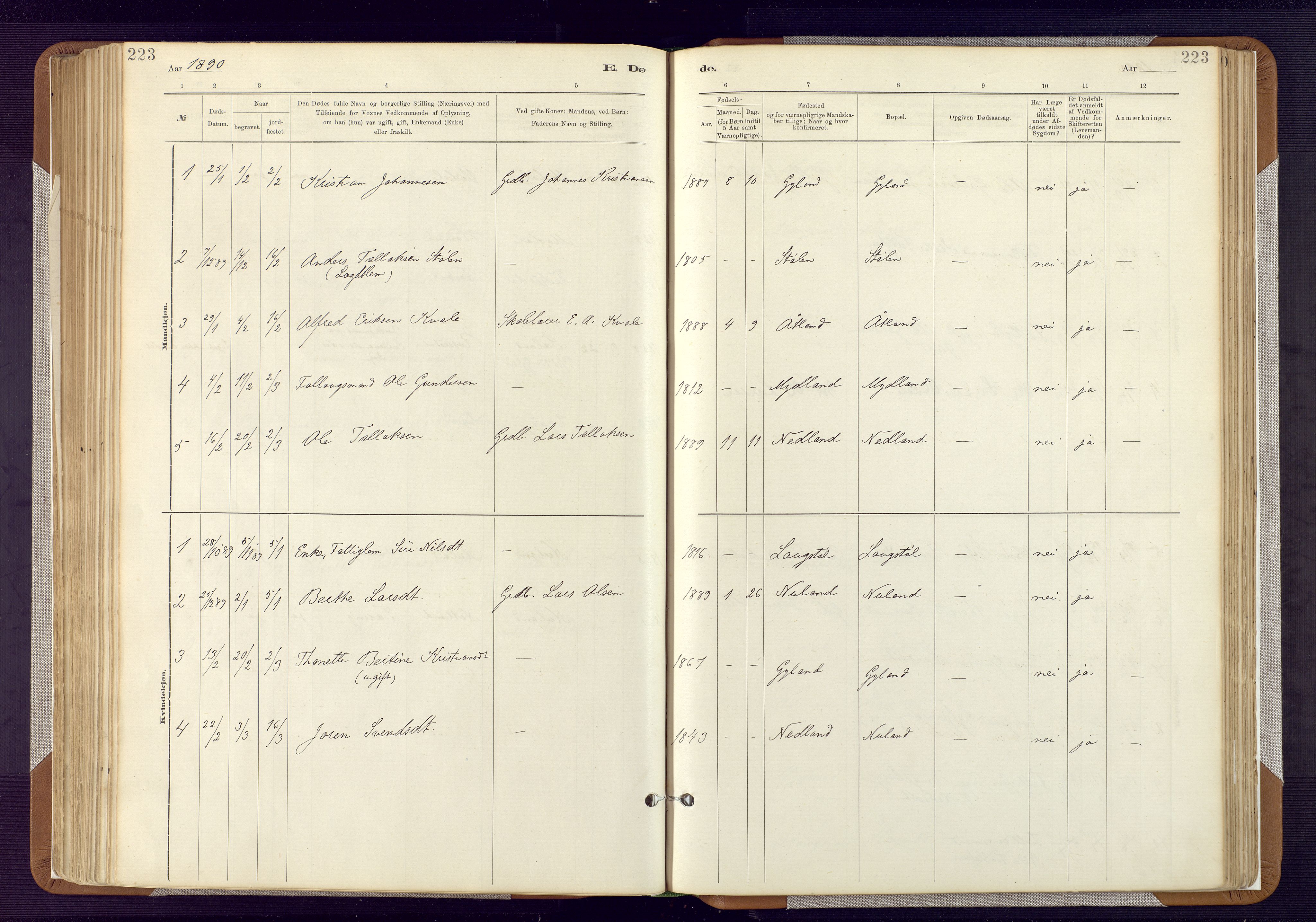 Bakke sokneprestkontor, SAK/1111-0002/F/Fa/Fab/L0003: Parish register (official) no. A 3, 1884-1921, p. 223