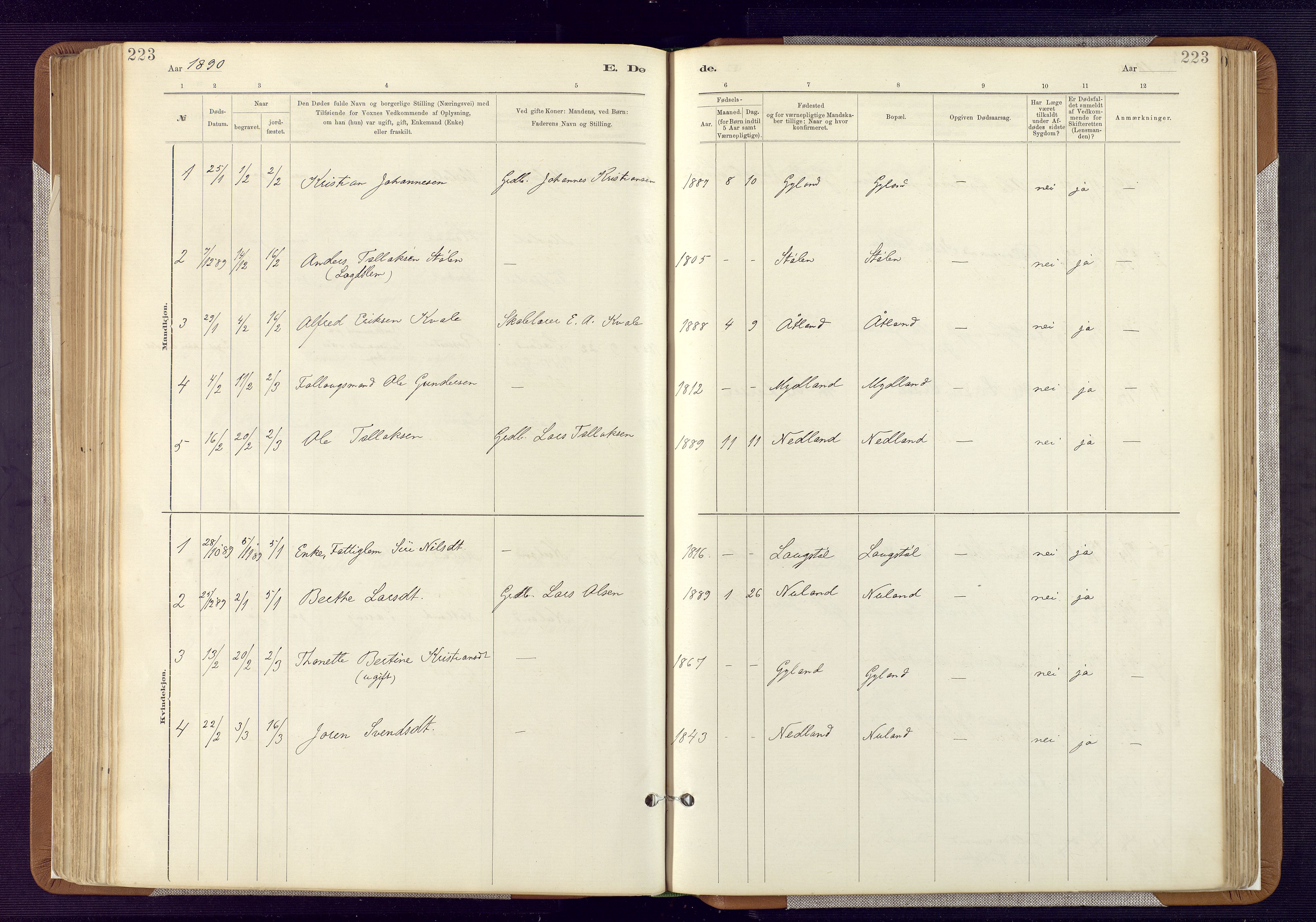 Bakke sokneprestkontor, AV/SAK-1111-0002/F/Fa/Fab/L0003: Parish register (official) no. A 3, 1884-1921, p. 223