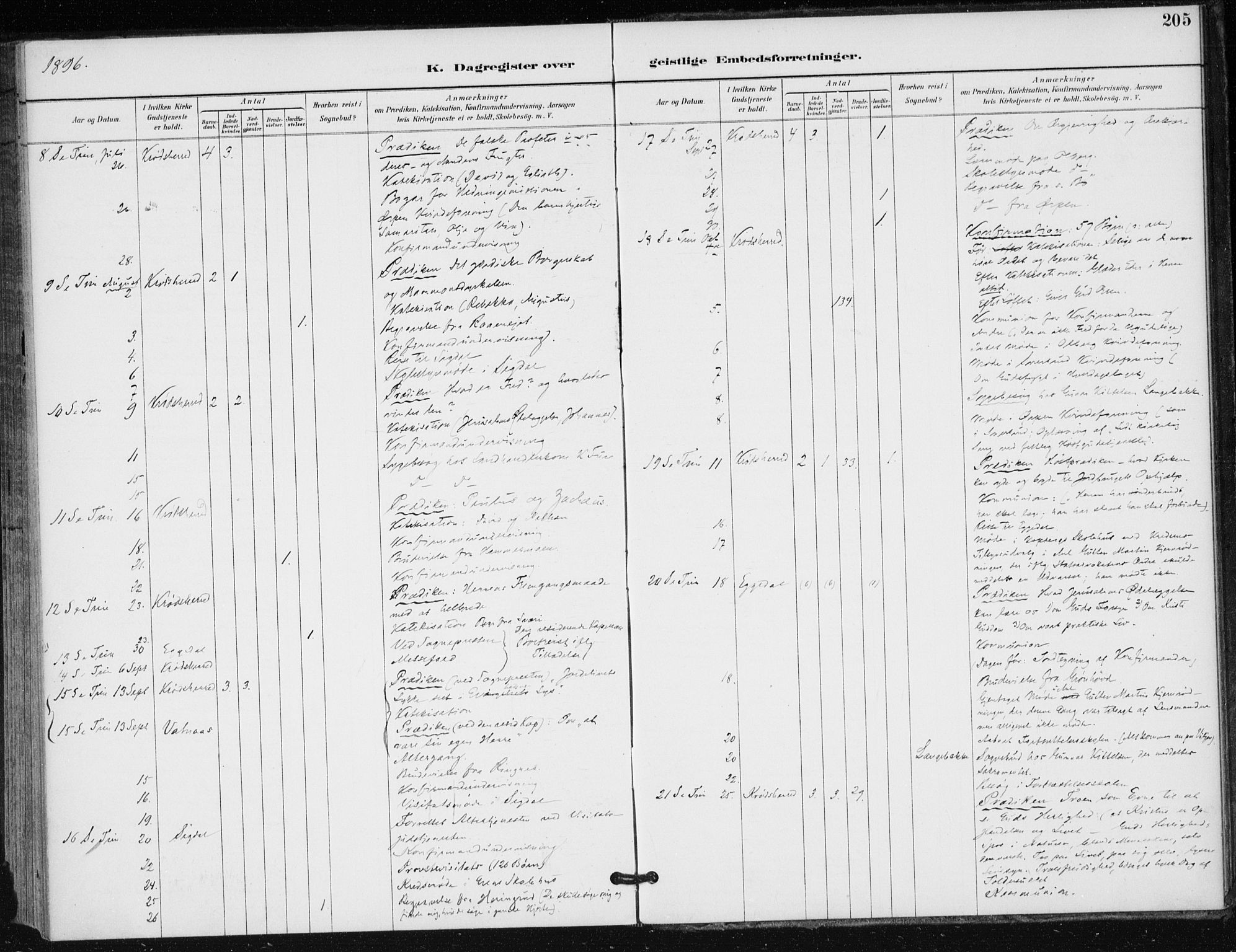 Krødsherad kirkebøker, AV/SAKO-A-19/F/Fa/L0006: Parish register (official) no. 6, 1889-1899, p. 205