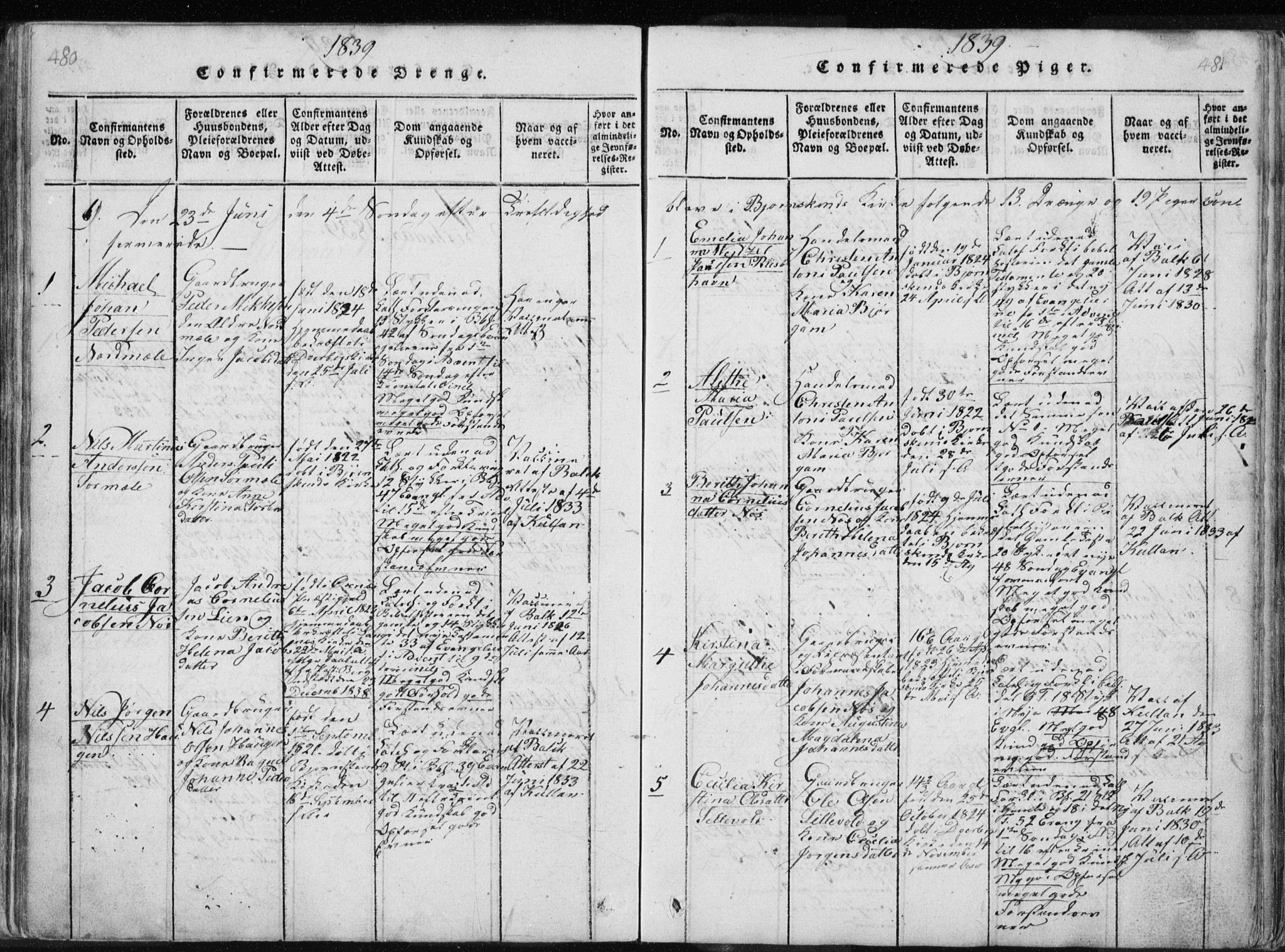 Ministerialprotokoller, klokkerbøker og fødselsregistre - Nordland, AV/SAT-A-1459/897/L1411: Parish register (copy) no. 897C01, 1820-1866, p. 480-481