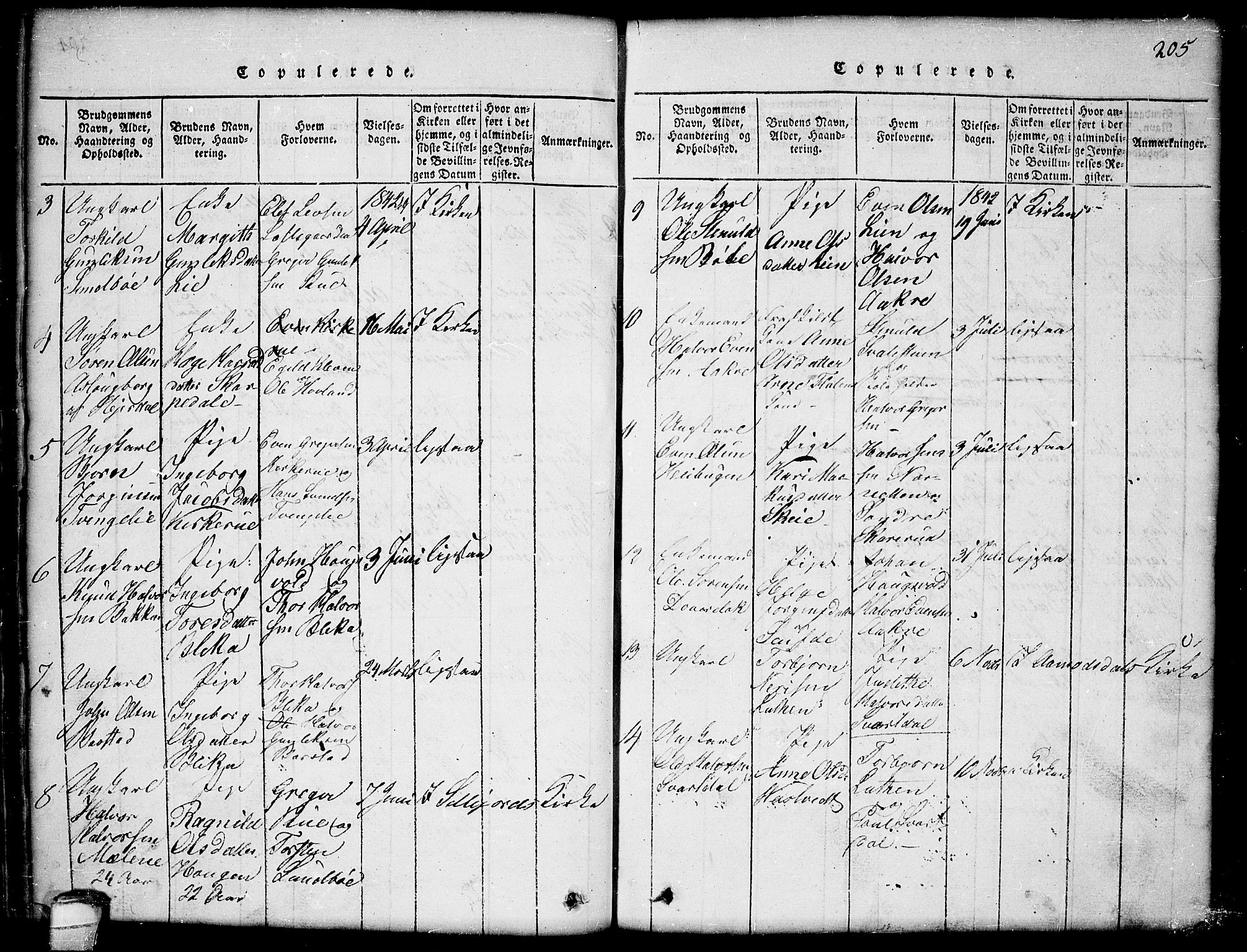 Seljord kirkebøker, SAKO/A-20/G/Gb/L0002: Parish register (copy) no. II 2, 1815-1854, p. 205