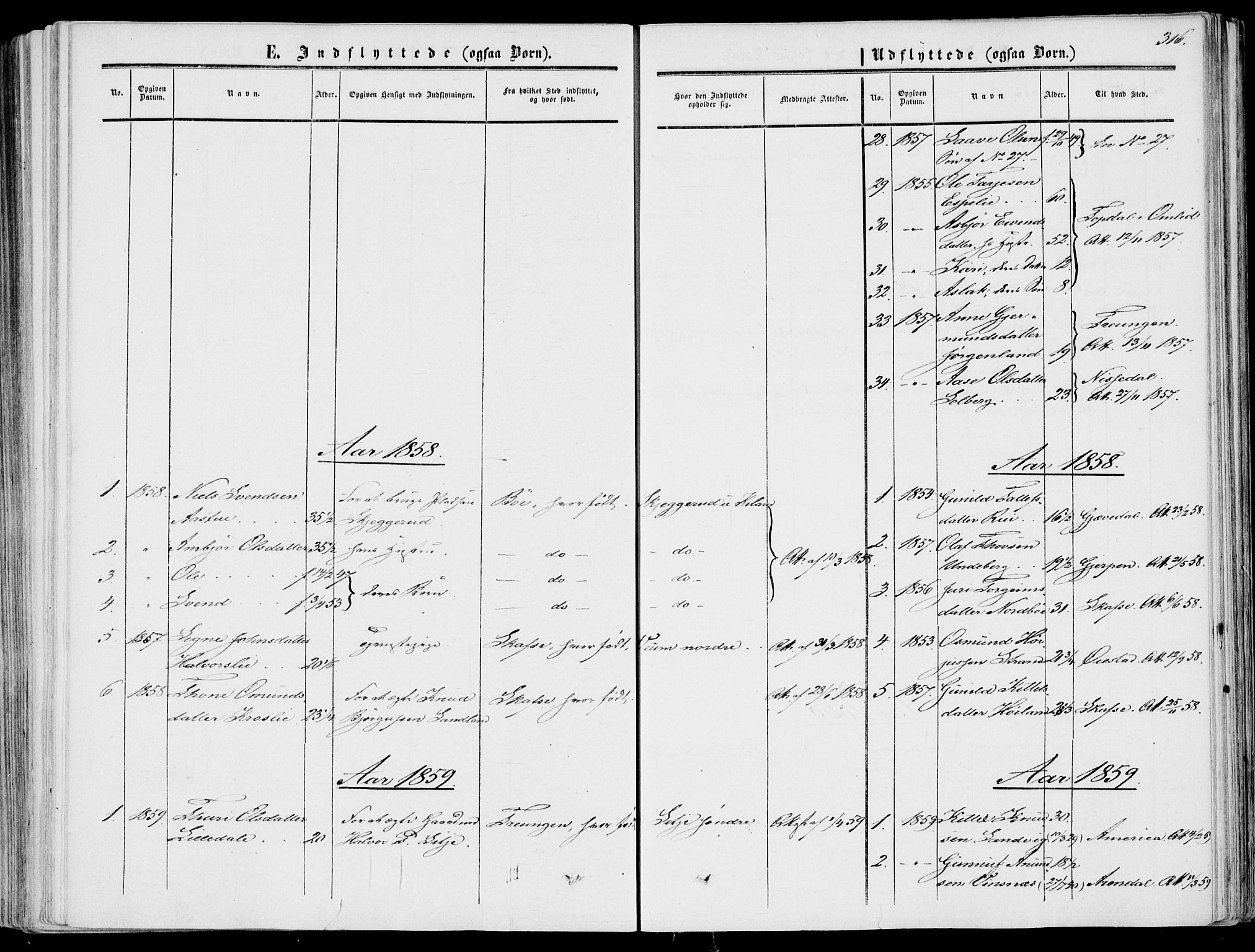 Fyresdal kirkebøker, SAKO/A-263/F/Fa/L0005: Parish register (official) no. I 5, 1855-1871, p. 316