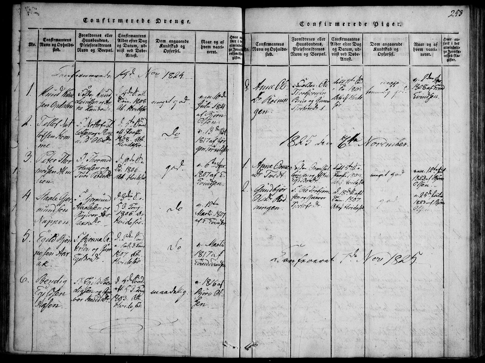 Nissedal kirkebøker, SAKO/A-288/F/Fb/L0001: Parish register (official) no. II 1, 1814-1845, p. 253