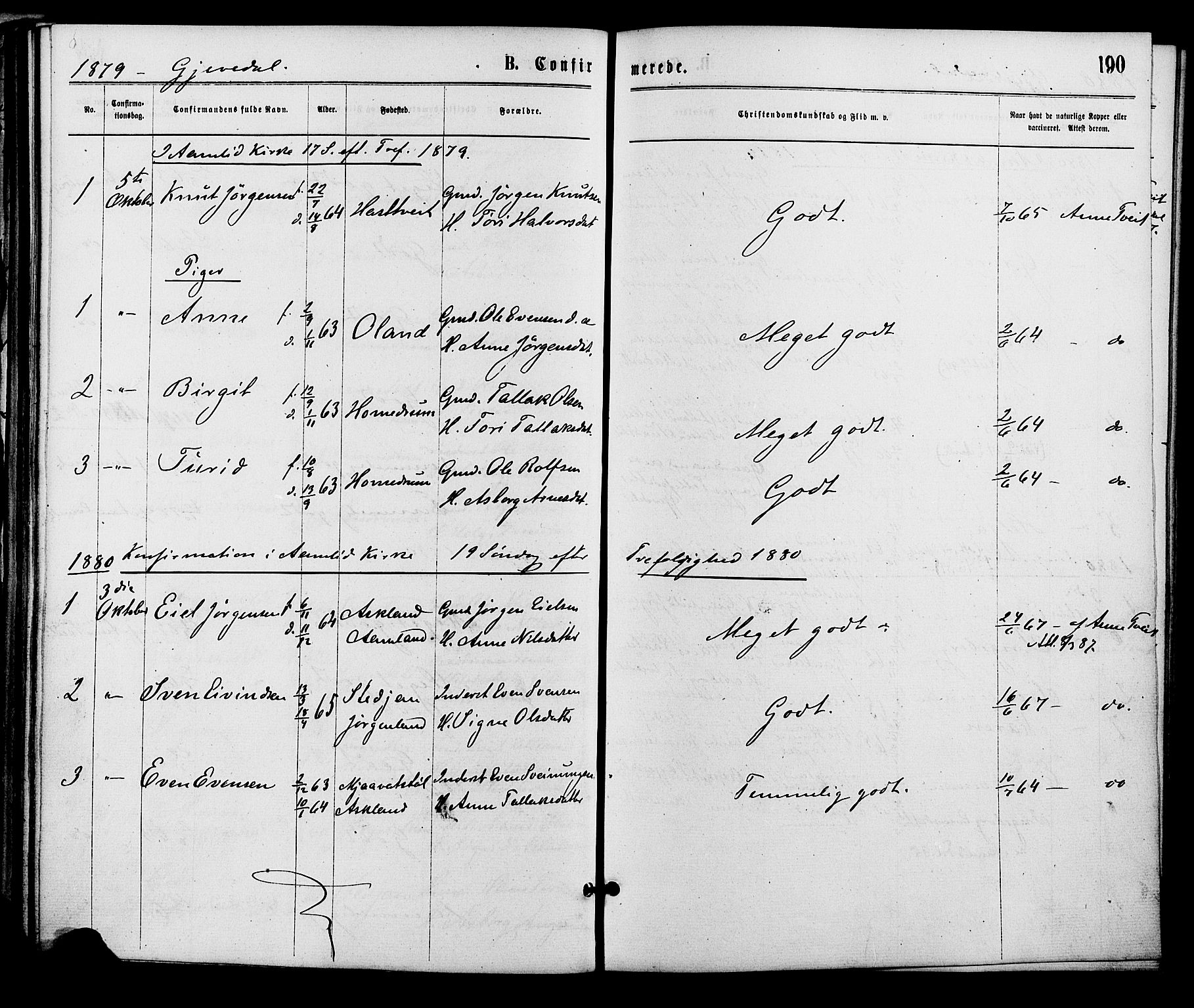 Åmli sokneprestkontor, AV/SAK-1111-0050/F/Fa/Fac/L0009: Parish register (official) no. A 9 /2, 1869-1884, p. 190