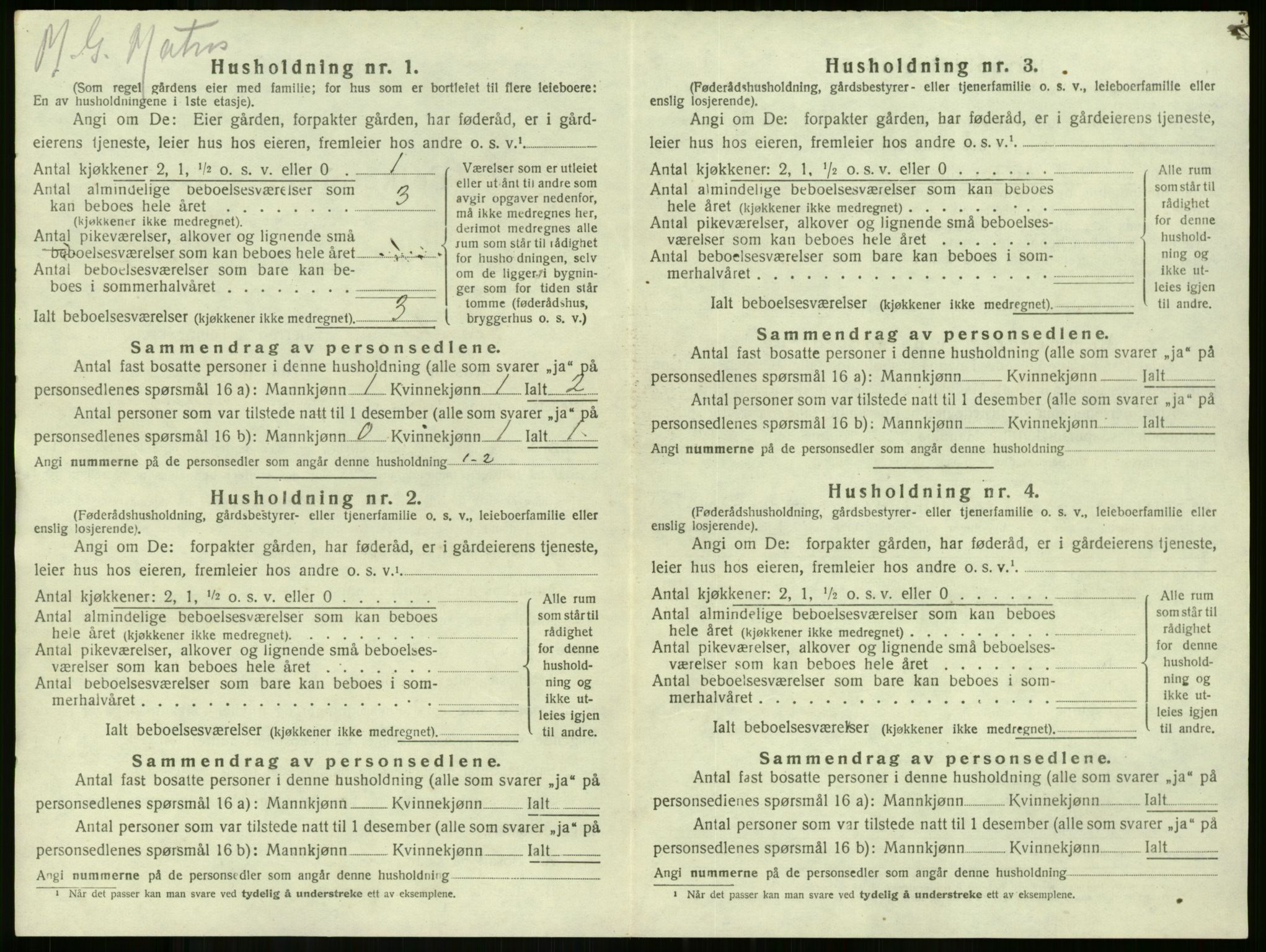 SAKO, 1920 census for Stokke, 1920, p. 1096