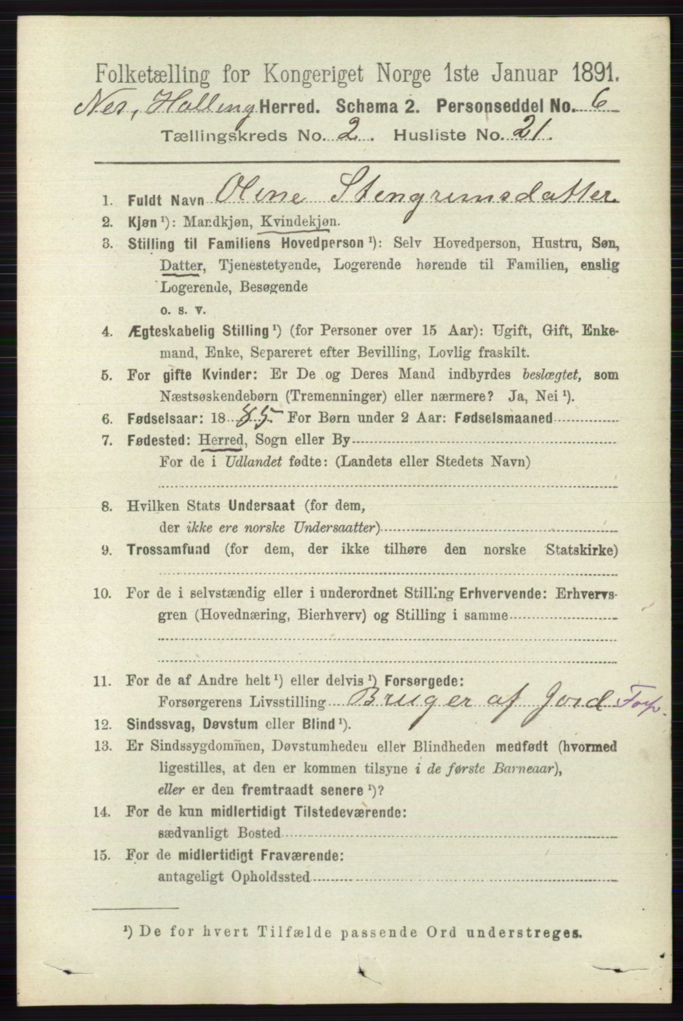 RA, 1891 census for 0616 Nes, 1891, p. 1099