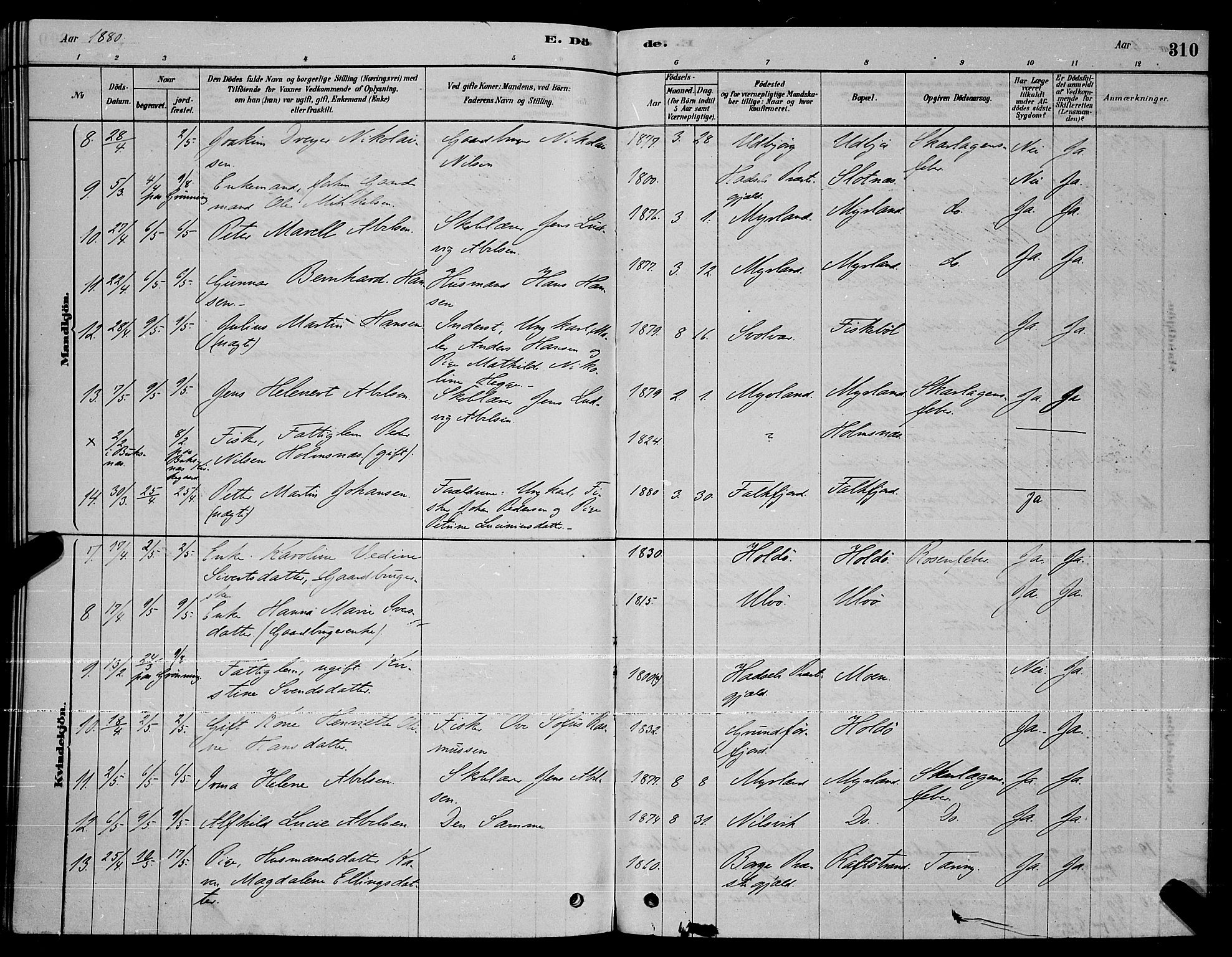 Ministerialprotokoller, klokkerbøker og fødselsregistre - Nordland, AV/SAT-A-1459/888/L1267: Parish register (copy) no. 888C05, 1878-1890, p. 310