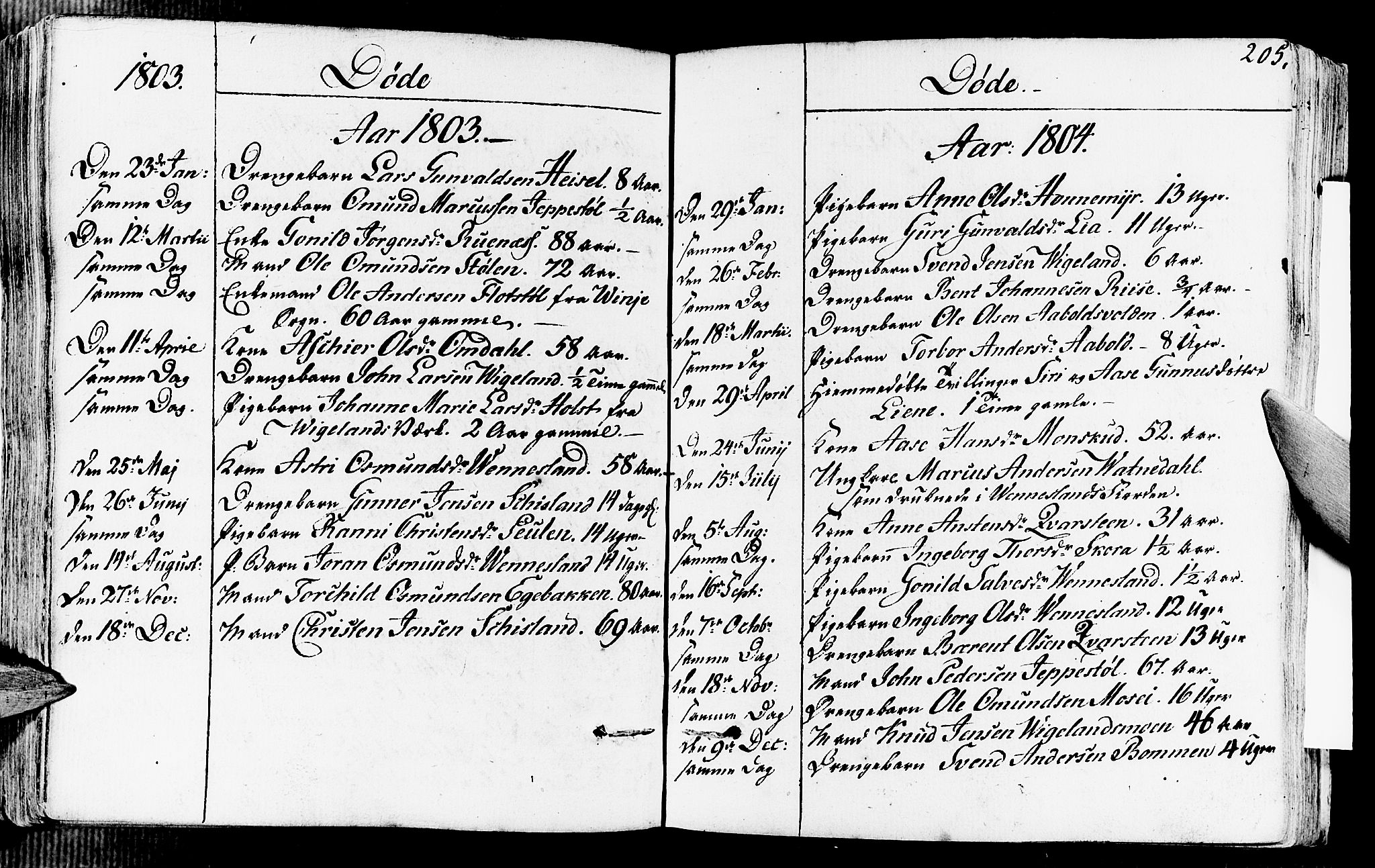 Vennesla sokneprestkontor, SAK/1111-0045/Fa/Fab/L0002: Parish register (official) no. A 2, 1794-1834, p. 205