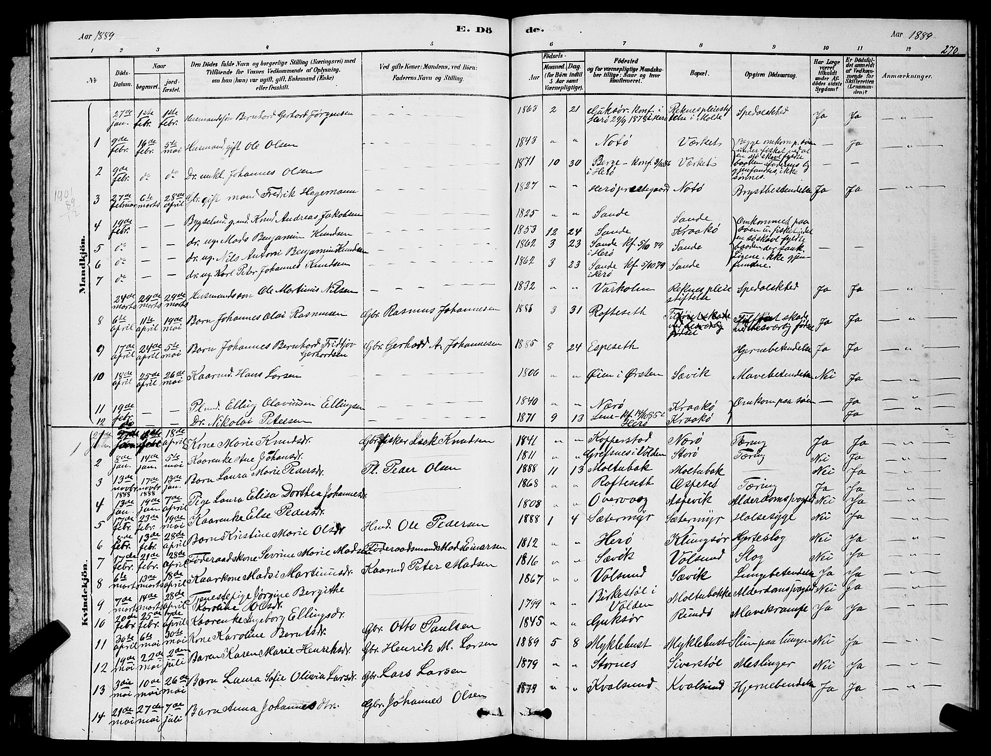 Ministerialprotokoller, klokkerbøker og fødselsregistre - Møre og Romsdal, AV/SAT-A-1454/507/L0081: Parish register (copy) no. 507C04, 1878-1898, p. 270