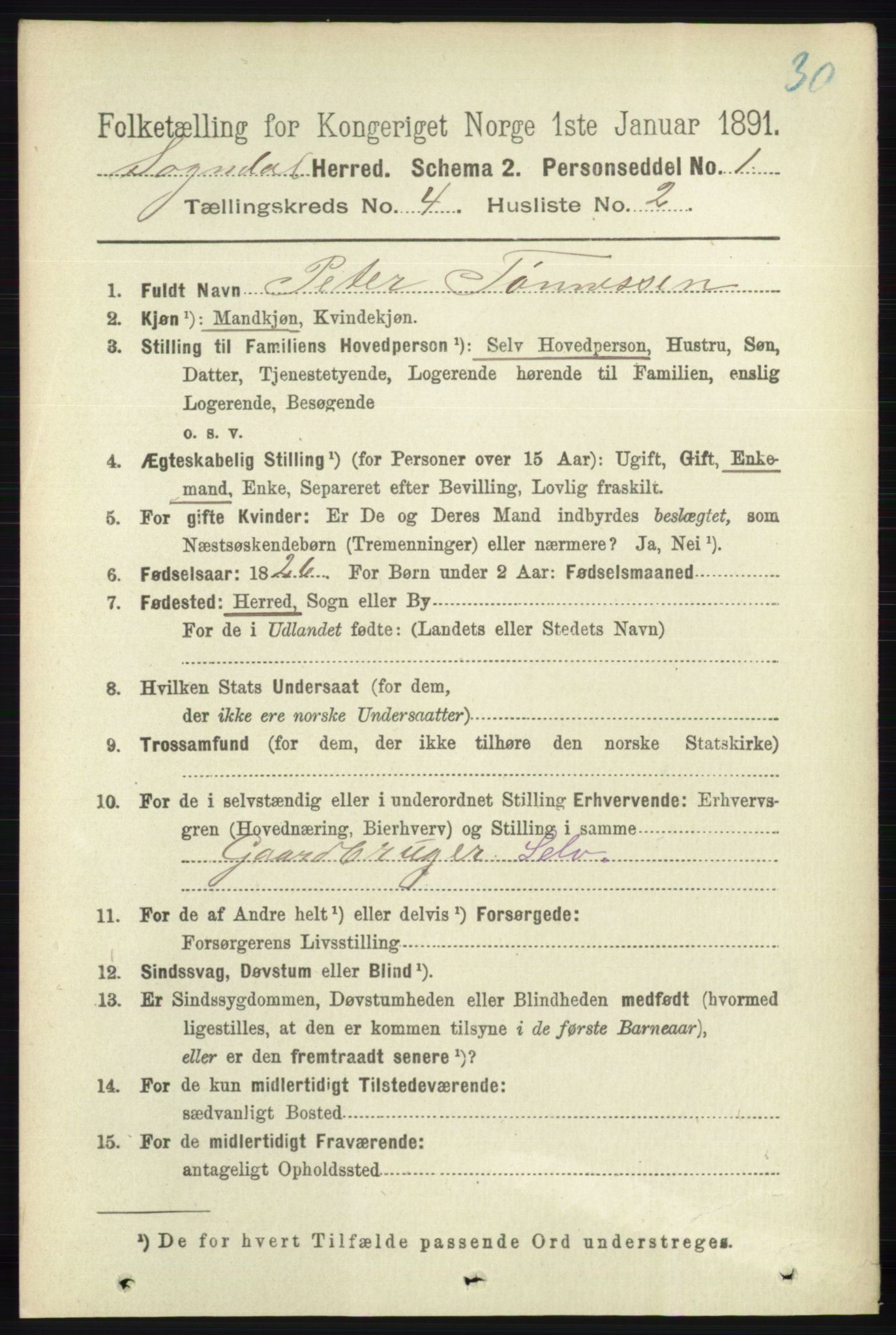 RA, 1891 census for 1111 Sokndal, 1891, p. 1006