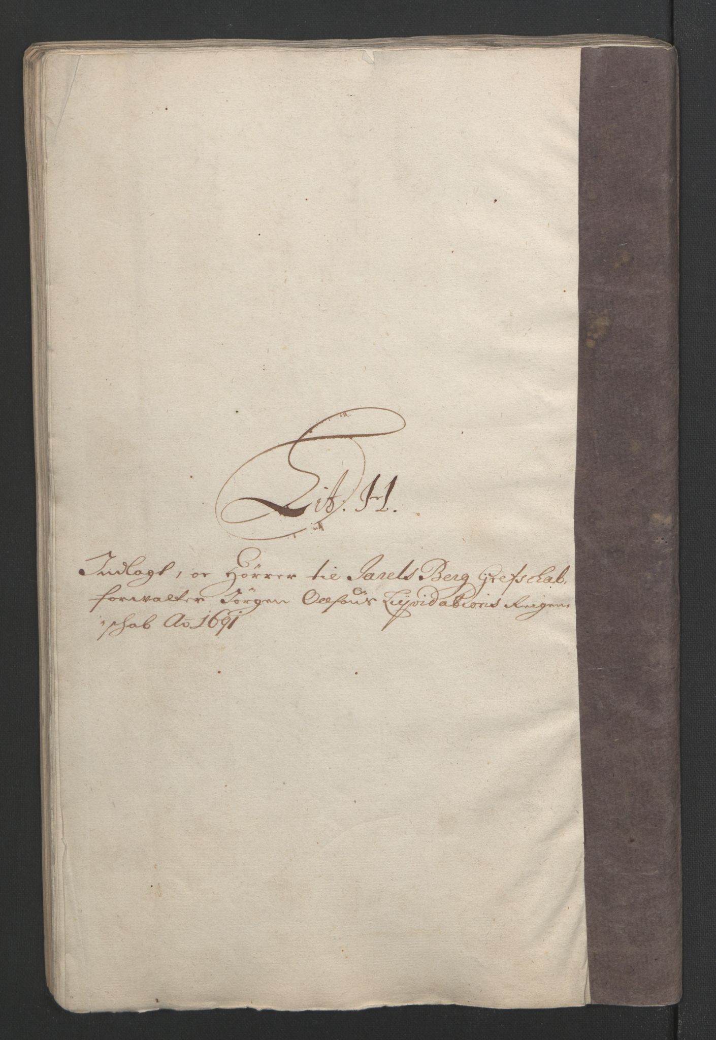 Rentekammeret inntil 1814, Reviderte regnskaper, Fogderegnskap, RA/EA-4092/R32/L1864: Fogderegnskap Jarlsberg grevskap, 1691, p. 333