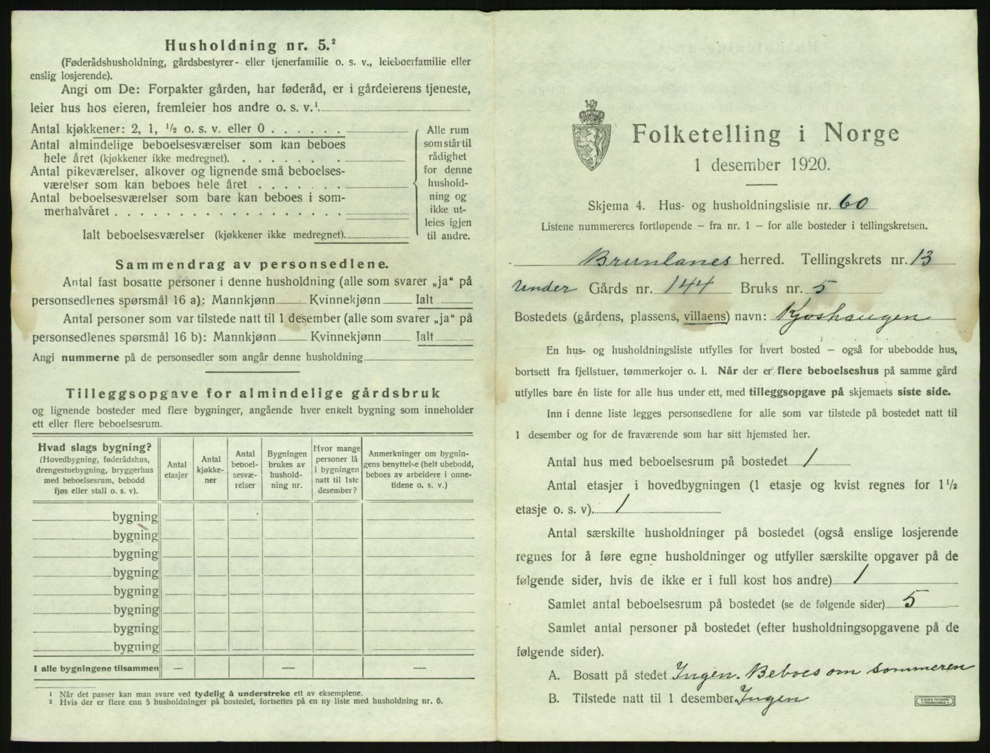 SAKO, 1920 census for Brunlanes, 1920, p. 1869