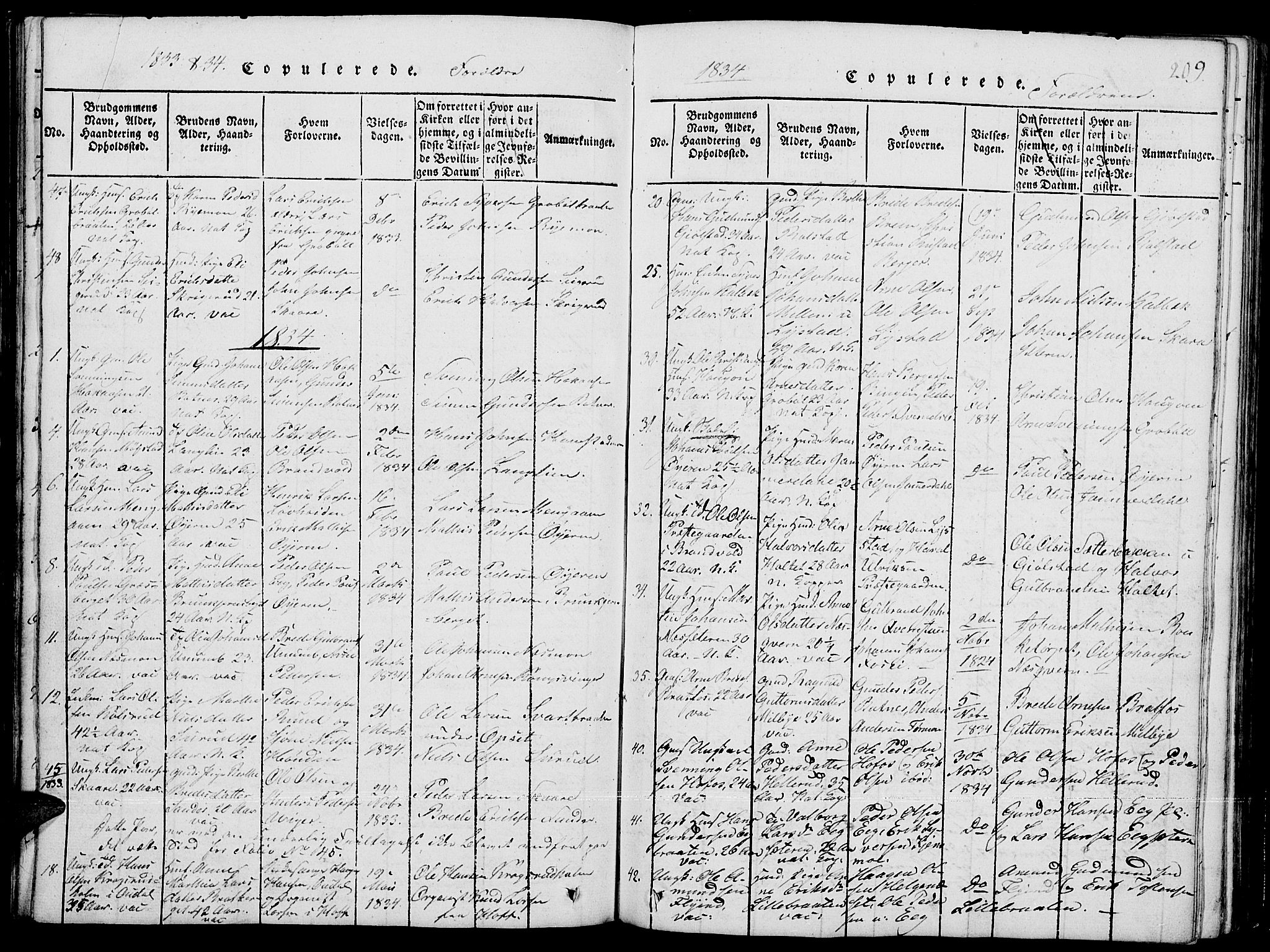 Grue prestekontor, SAH/PREST-036/H/Ha/Hab/L0001: Parish register (copy) no. 1, 1814-1841, p. 209