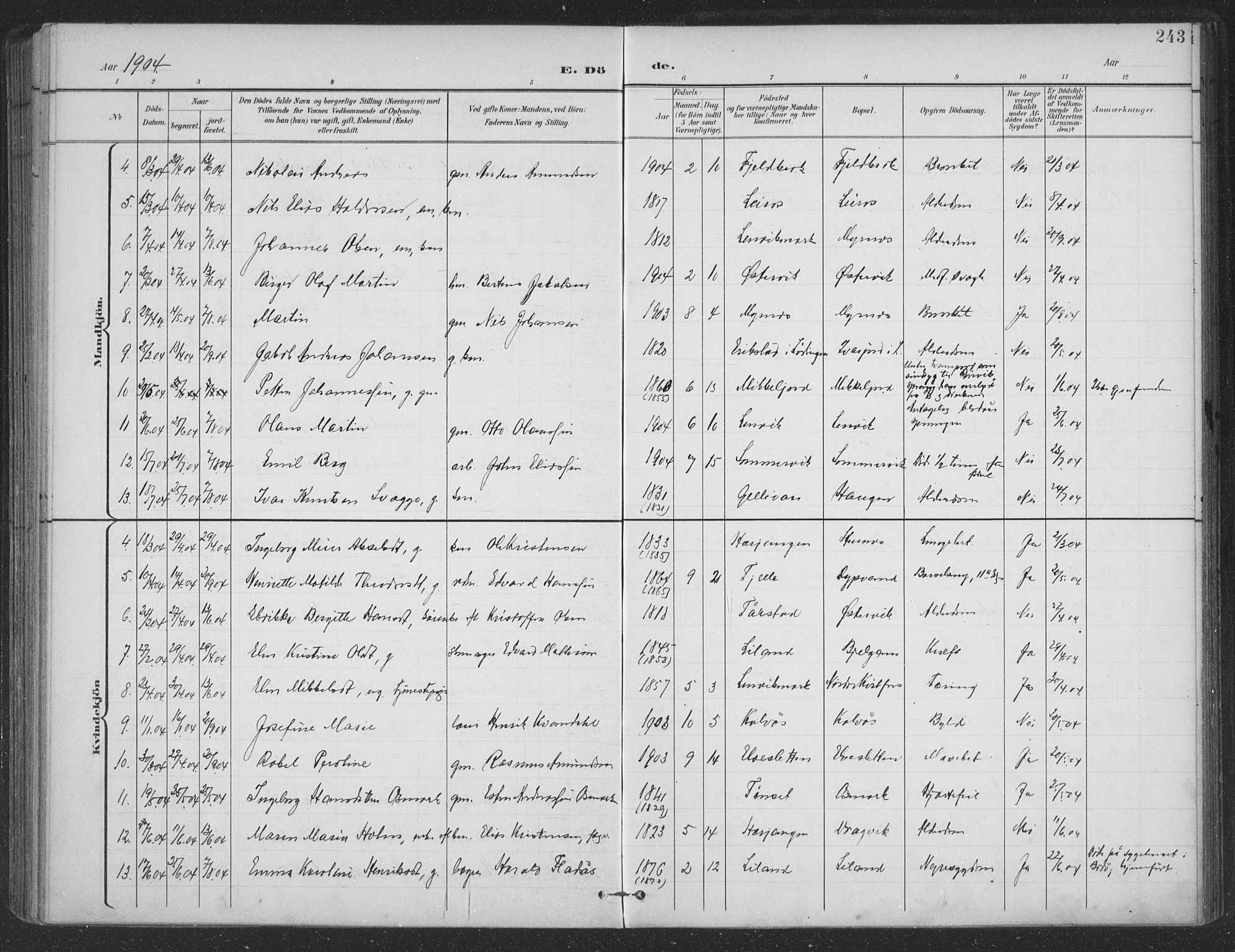 Ministerialprotokoller, klokkerbøker og fødselsregistre - Nordland, AV/SAT-A-1459/863/L0899: Parish register (official) no. 863A11, 1897-1906, p. 243