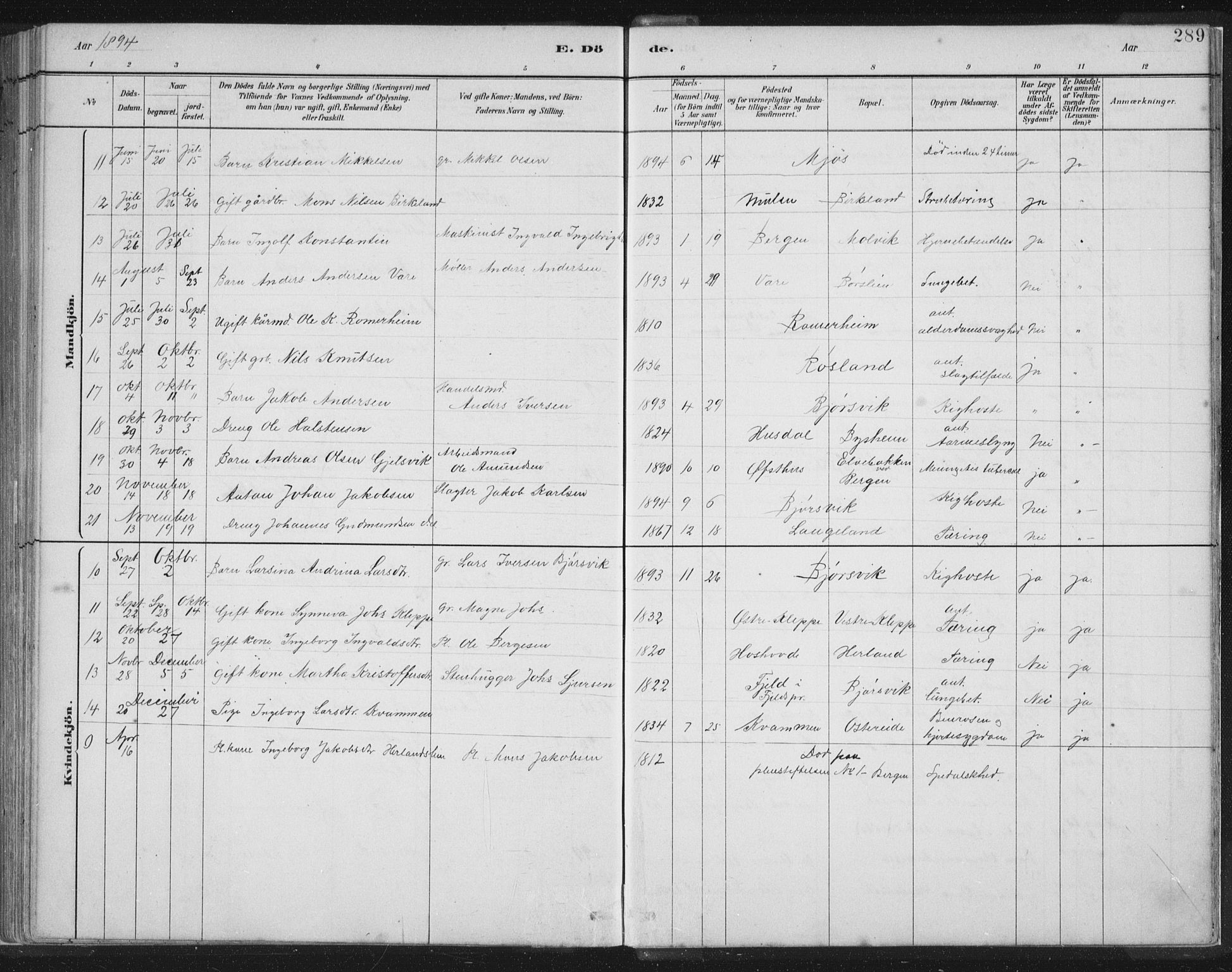 Hosanger sokneprestembete, AV/SAB-A-75801/H/Hab: Parish register (copy) no. A 3 II, 1882-1903, p. 289