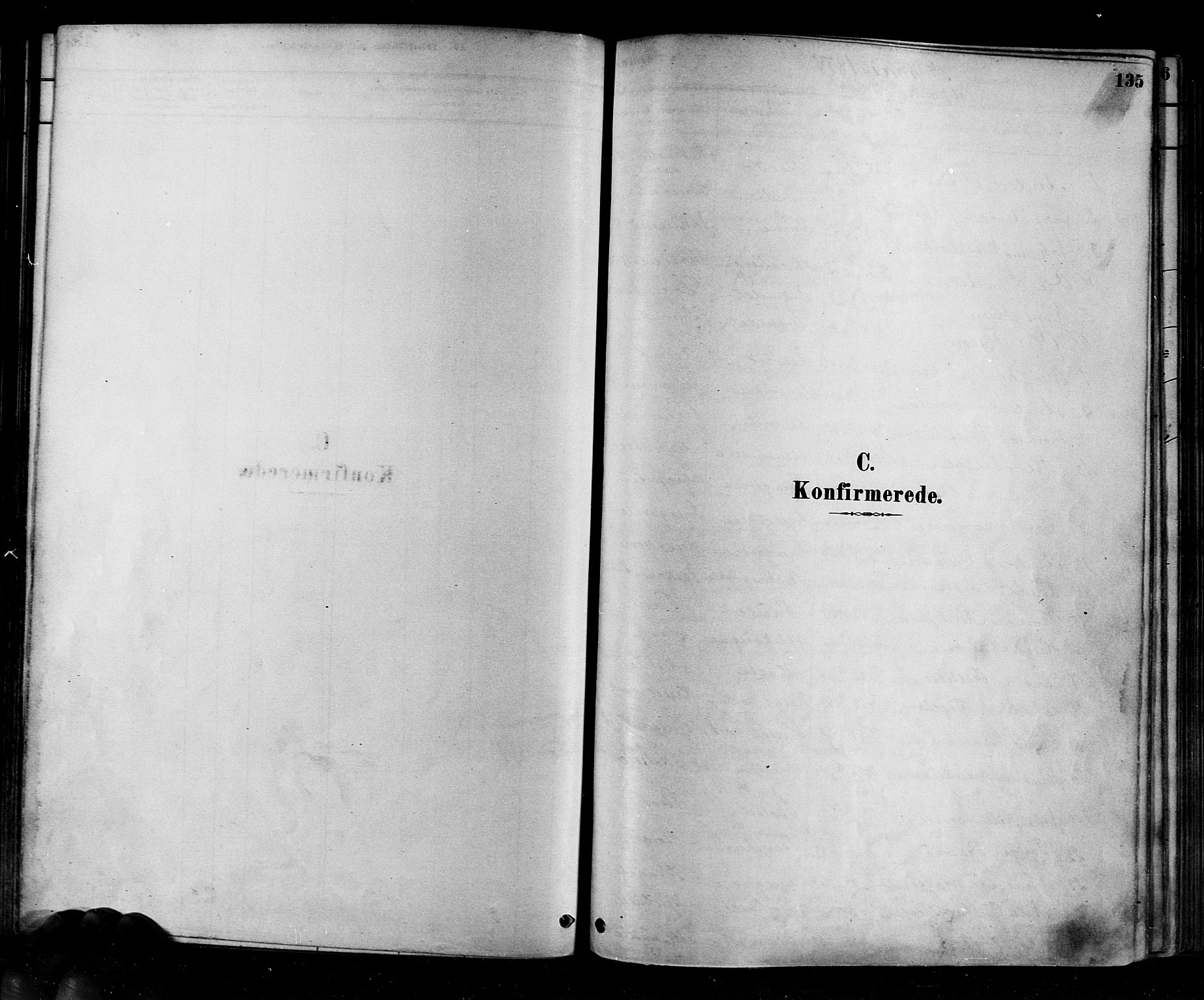 Eiker kirkebøker, SAKO/A-4/F/Fb/L0001: Parish register (official) no. II 1, 1878-1888, p. 135