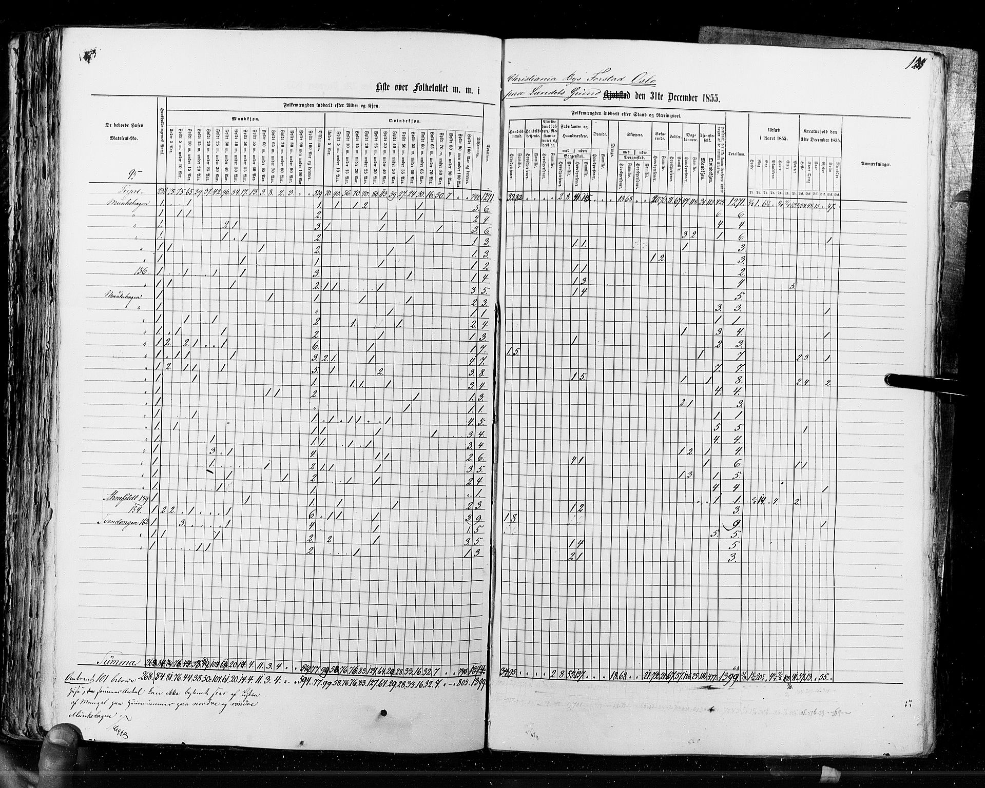 RA, Census 1855, vol. 7: Fredrikshald-Kragerø, 1855, p. 128