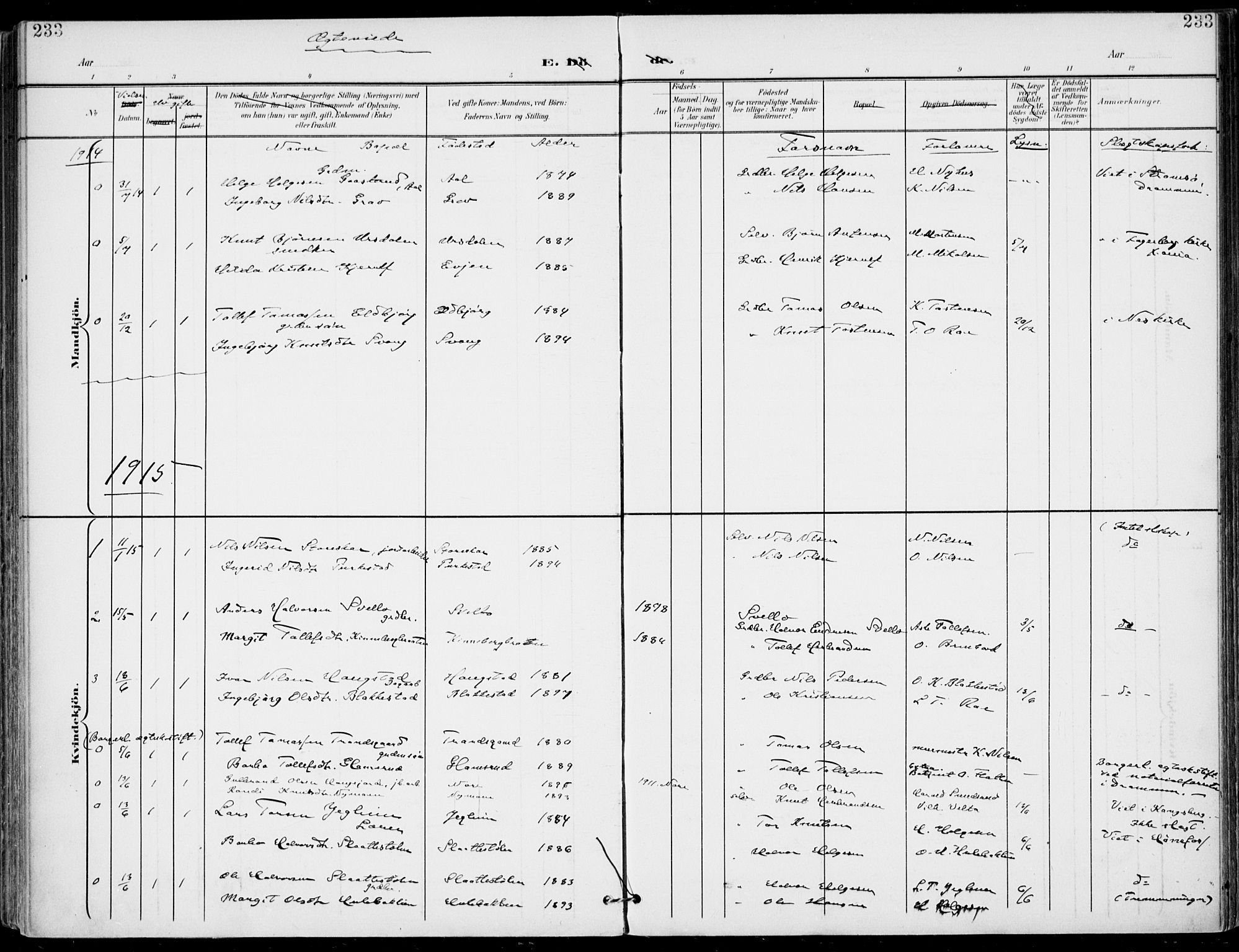 Gol kirkebøker, SAKO/A-226/F/Fa/L0006: Parish register (official) no. I 6, 1901-1918, p. 233