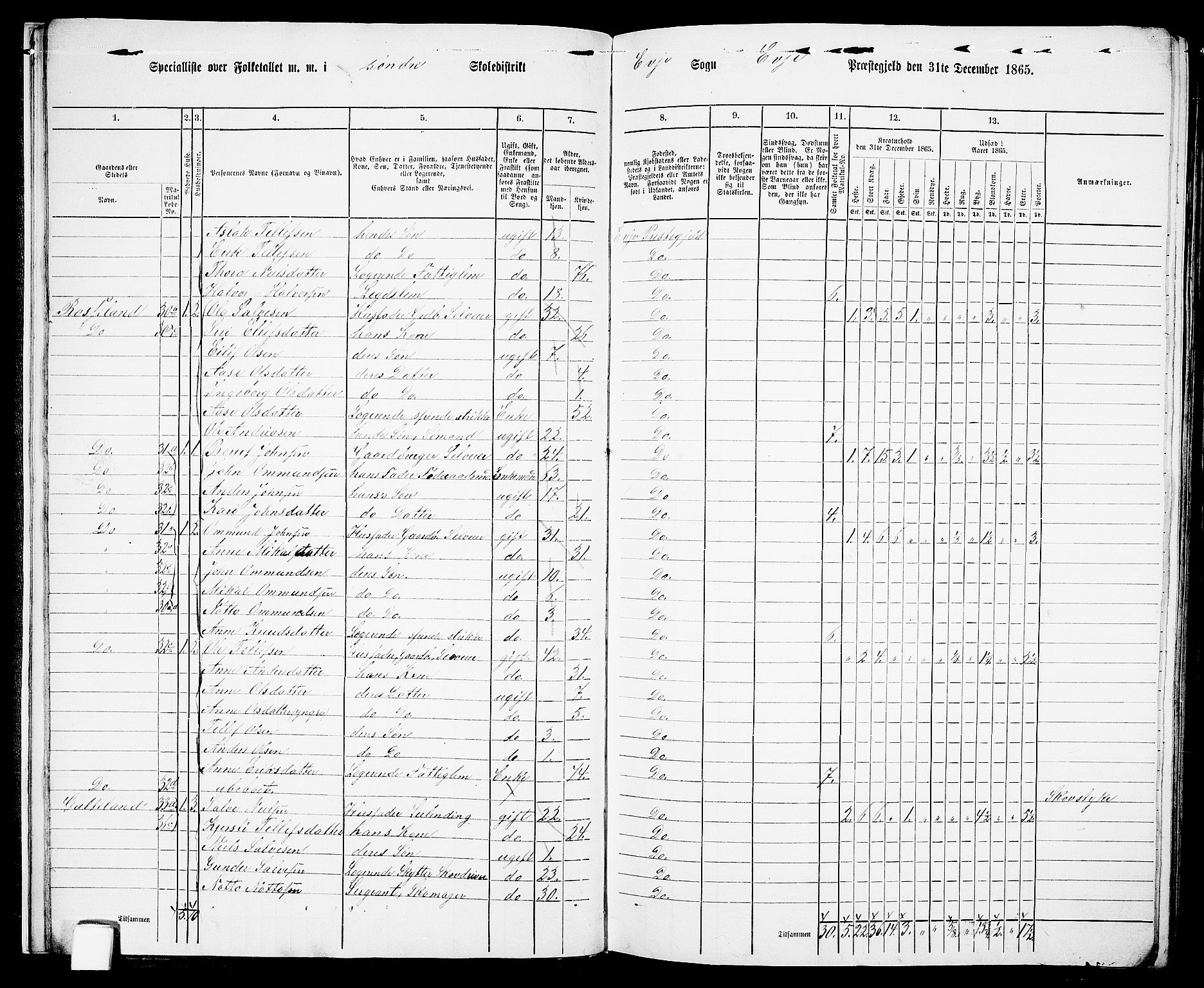 RA, 1865 census for Evje, 1865, p. 16