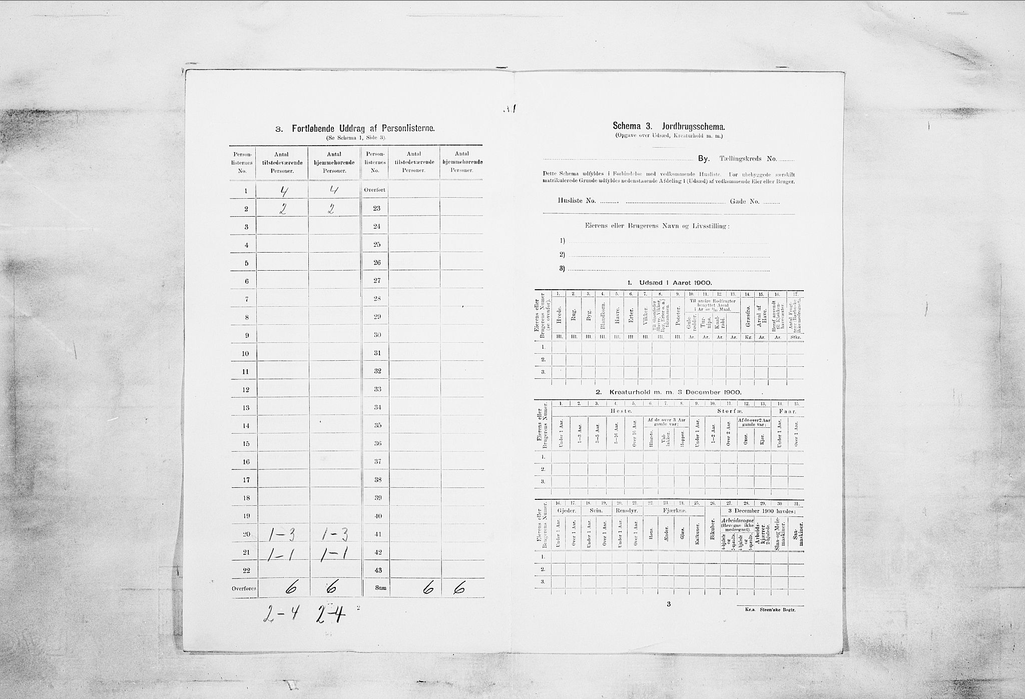 SAKO, 1900 census for Skien, 1900, p. 762