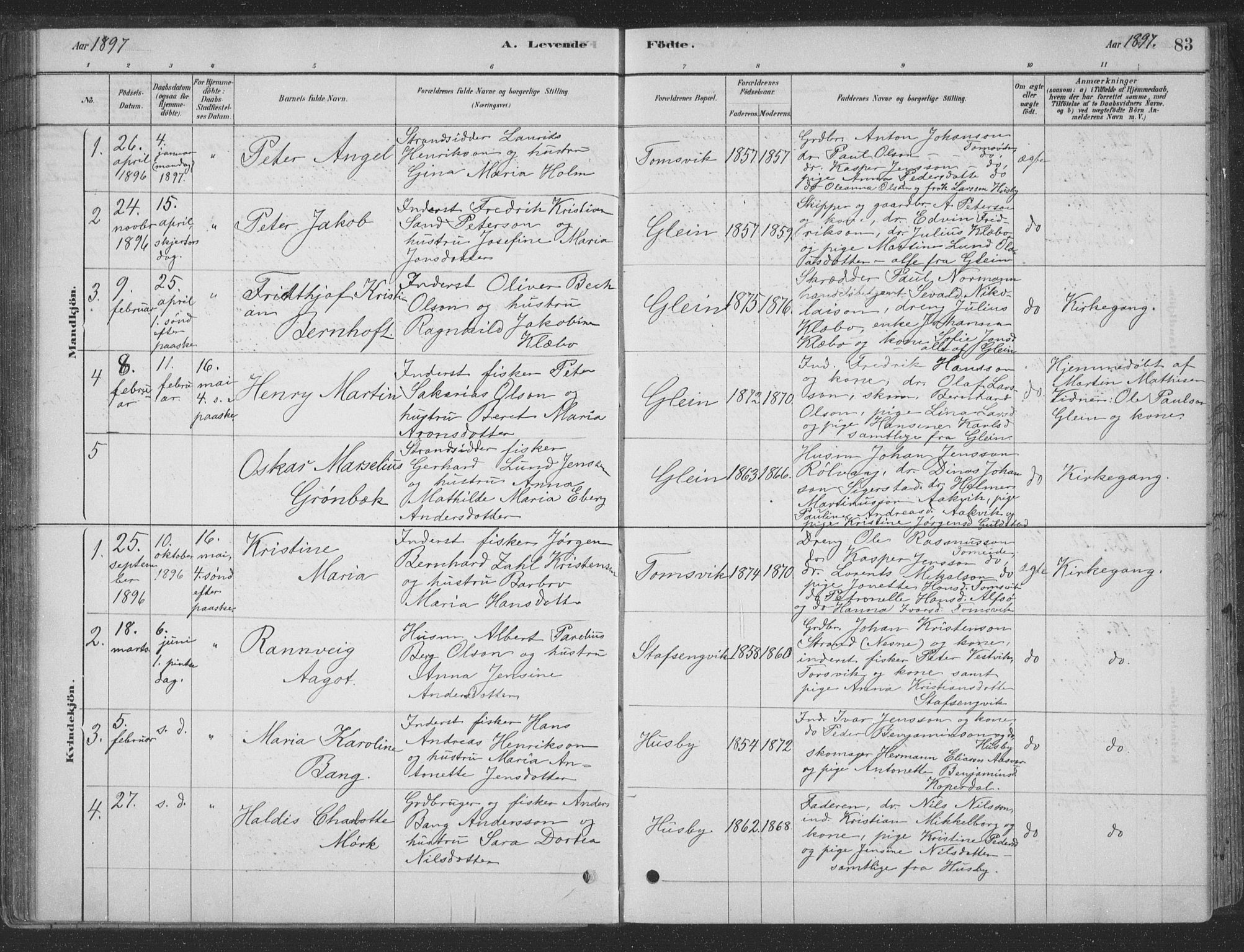 Ministerialprotokoller, klokkerbøker og fødselsregistre - Nordland, SAT/A-1459/835/L0532: Parish register (copy) no. 835C04, 1880-1905, p. 83