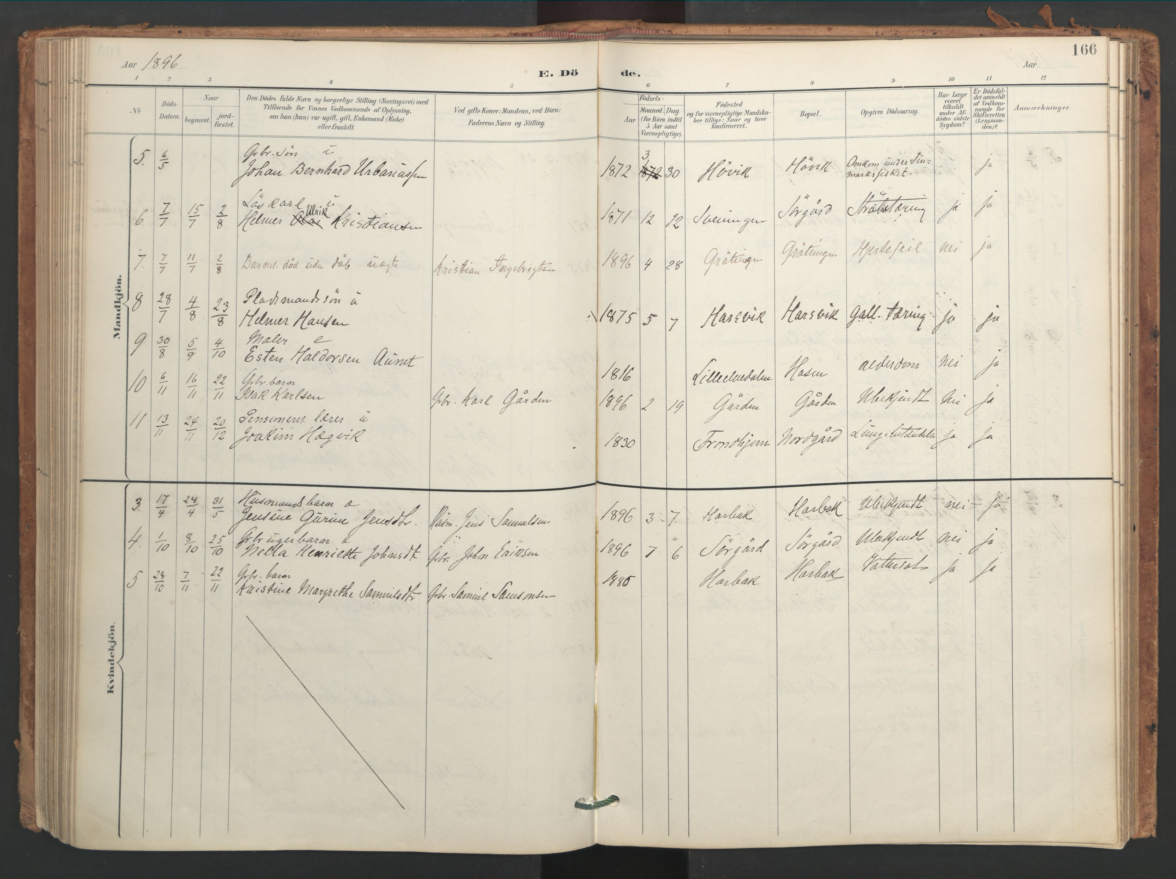 Ministerialprotokoller, klokkerbøker og fødselsregistre - Sør-Trøndelag, AV/SAT-A-1456/656/L0693: Parish register (official) no. 656A02, 1894-1913, p. 166