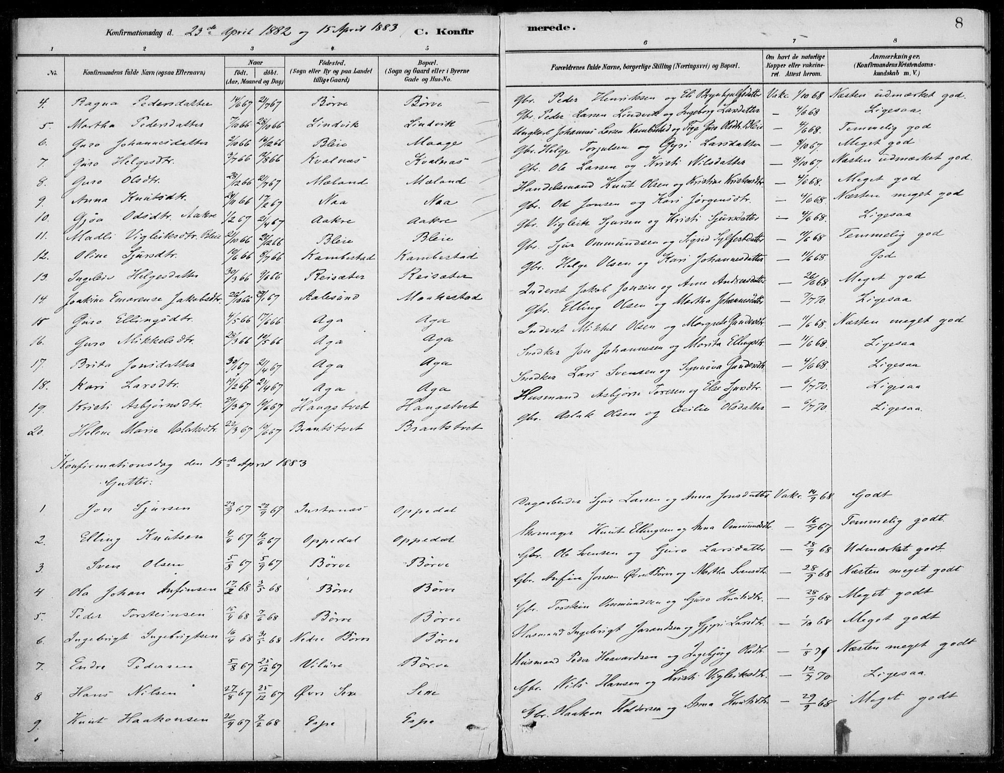 Ullensvang sokneprestembete, SAB/A-78701/H/Haa: Parish register (official) no. B  2, 1880-1910, p. 8