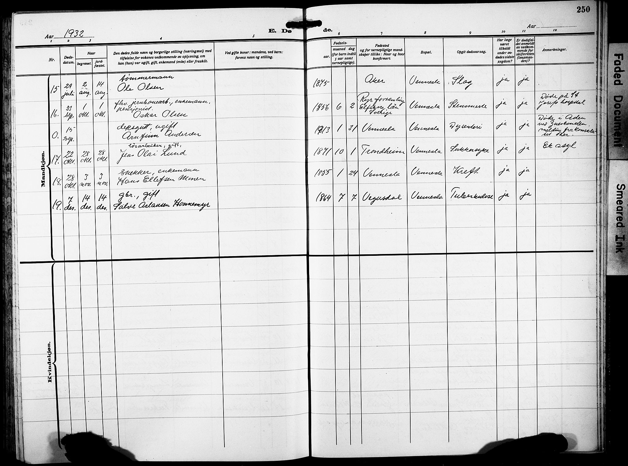 Vennesla sokneprestkontor, AV/SAK-1111-0045/Fb/Fbb/L0007: Parish register (copy) no. B 7, 1922-1933, p. 250