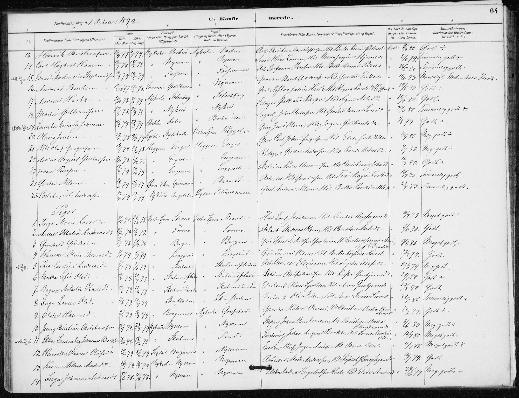 Modum kirkebøker, AV/SAKO-A-234/F/Fa/L0016: Parish register (official) no. 16, 1890-1899, p. 64