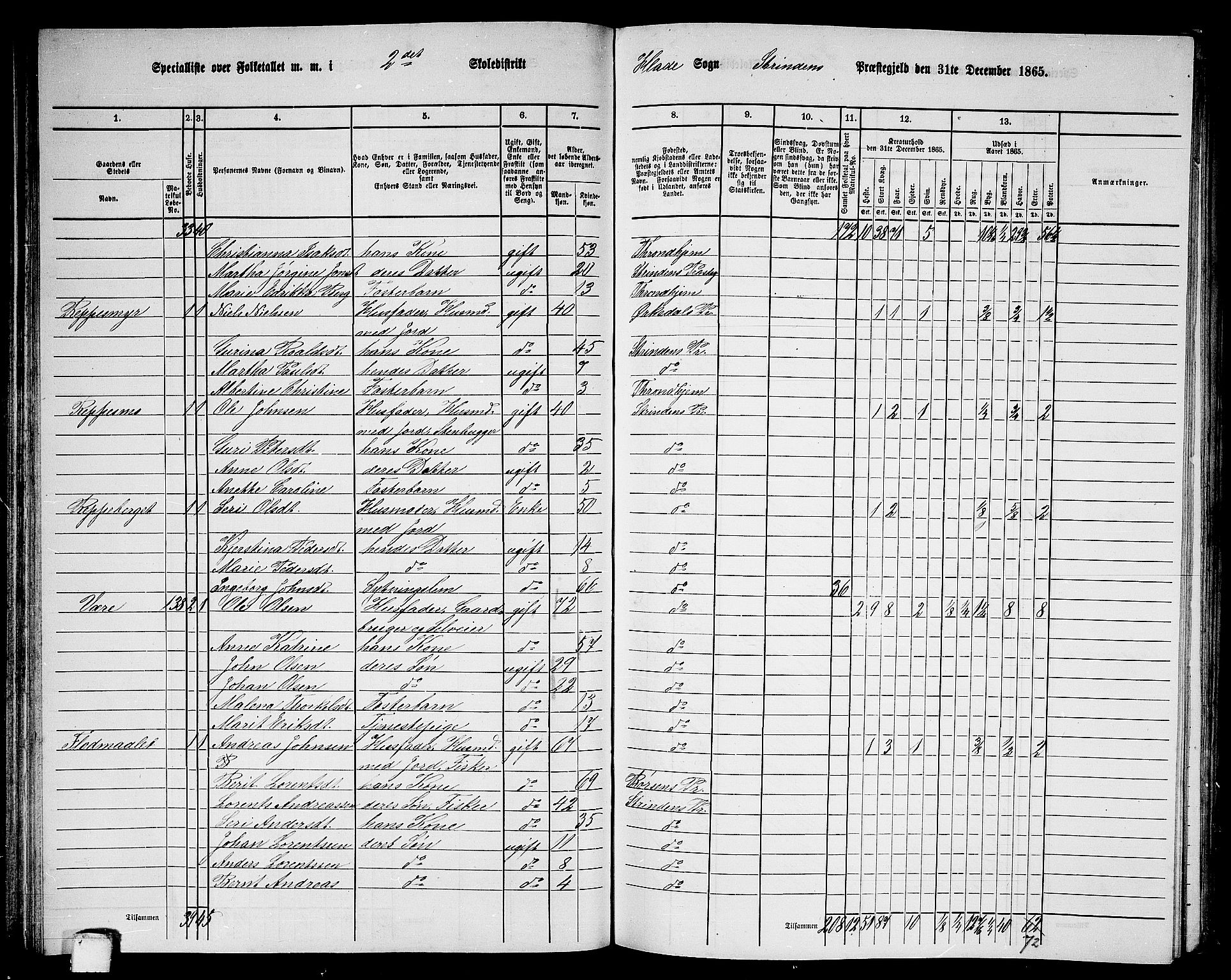 RA, 1865 census for Strinda, 1865, p. 66