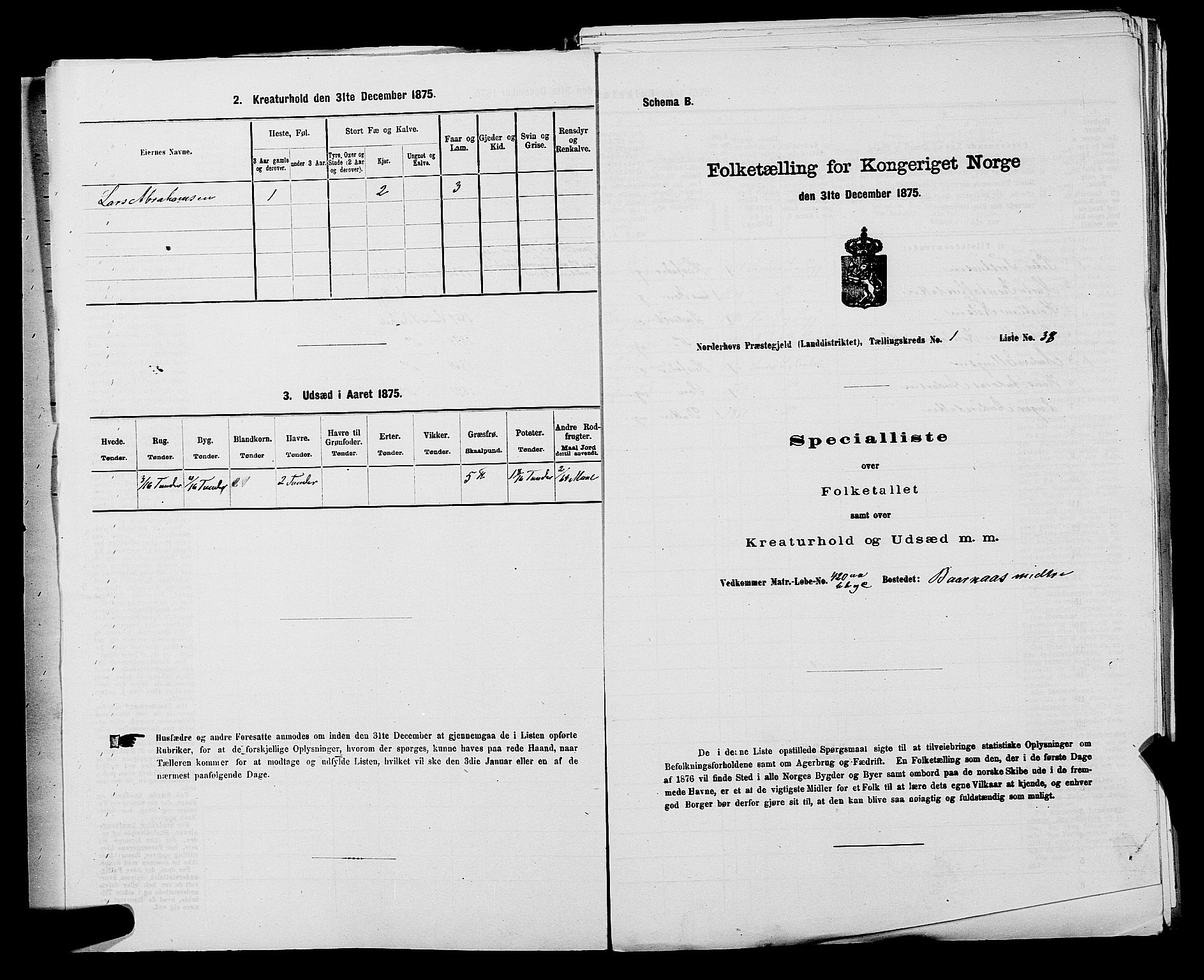 SAKO, 1875 census for 0613L Norderhov/Norderhov, Haug og Lunder, 1875, p. 2253