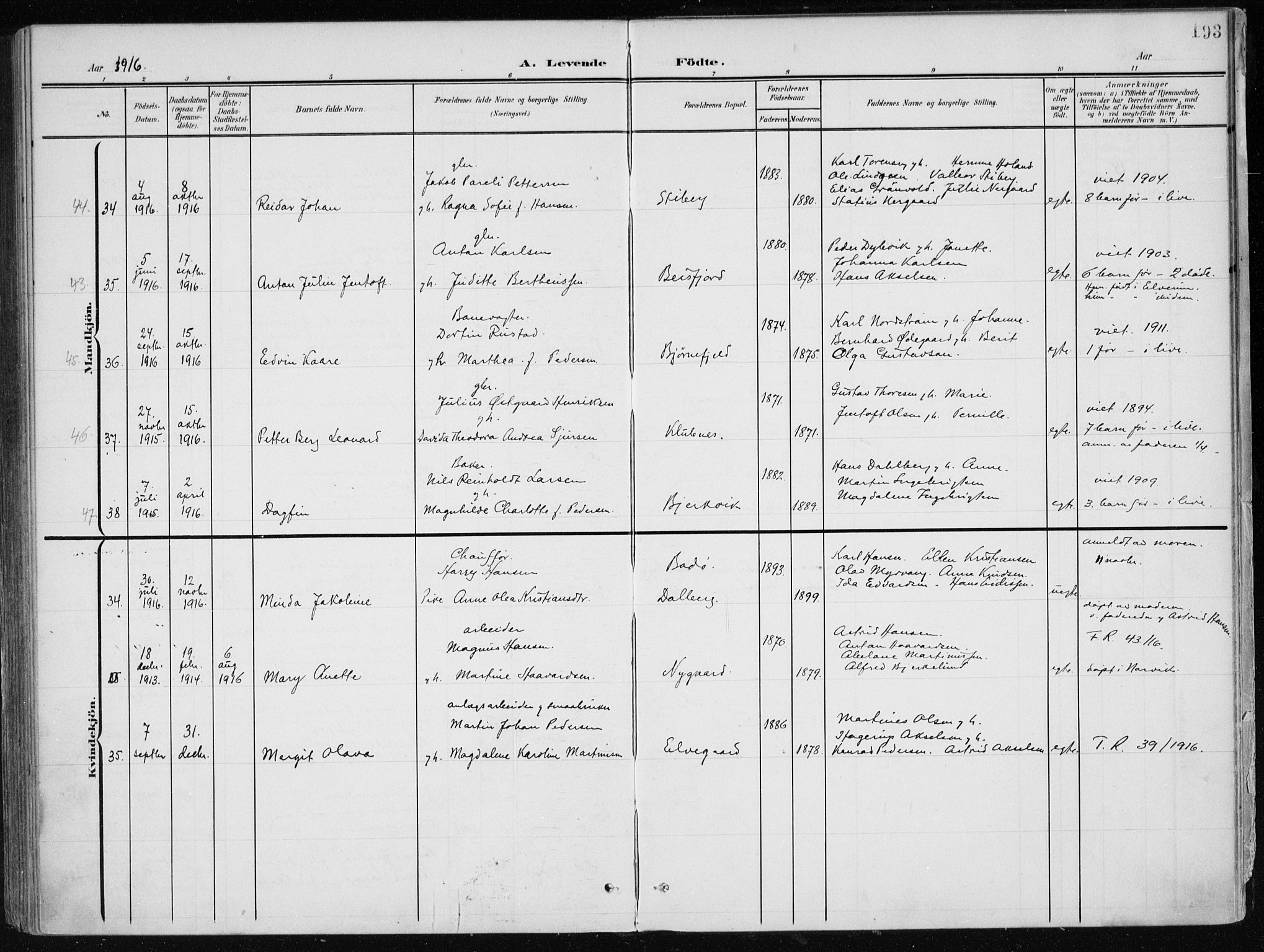 Ministerialprotokoller, klokkerbøker og fødselsregistre - Nordland, AV/SAT-A-1459/866/L0941: Parish register (official) no. 866A04, 1901-1917, p. 193